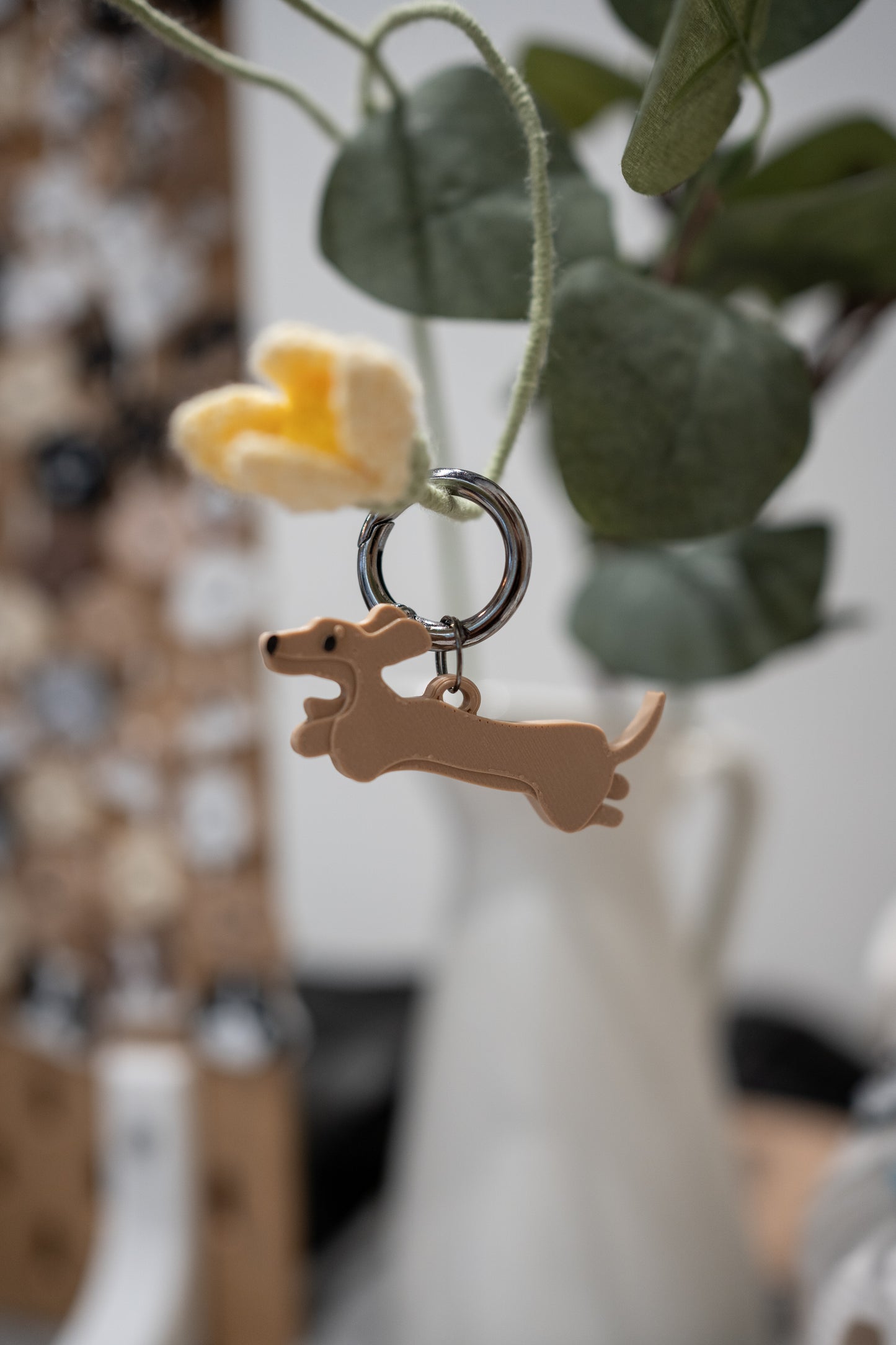 Alma | Dachshund