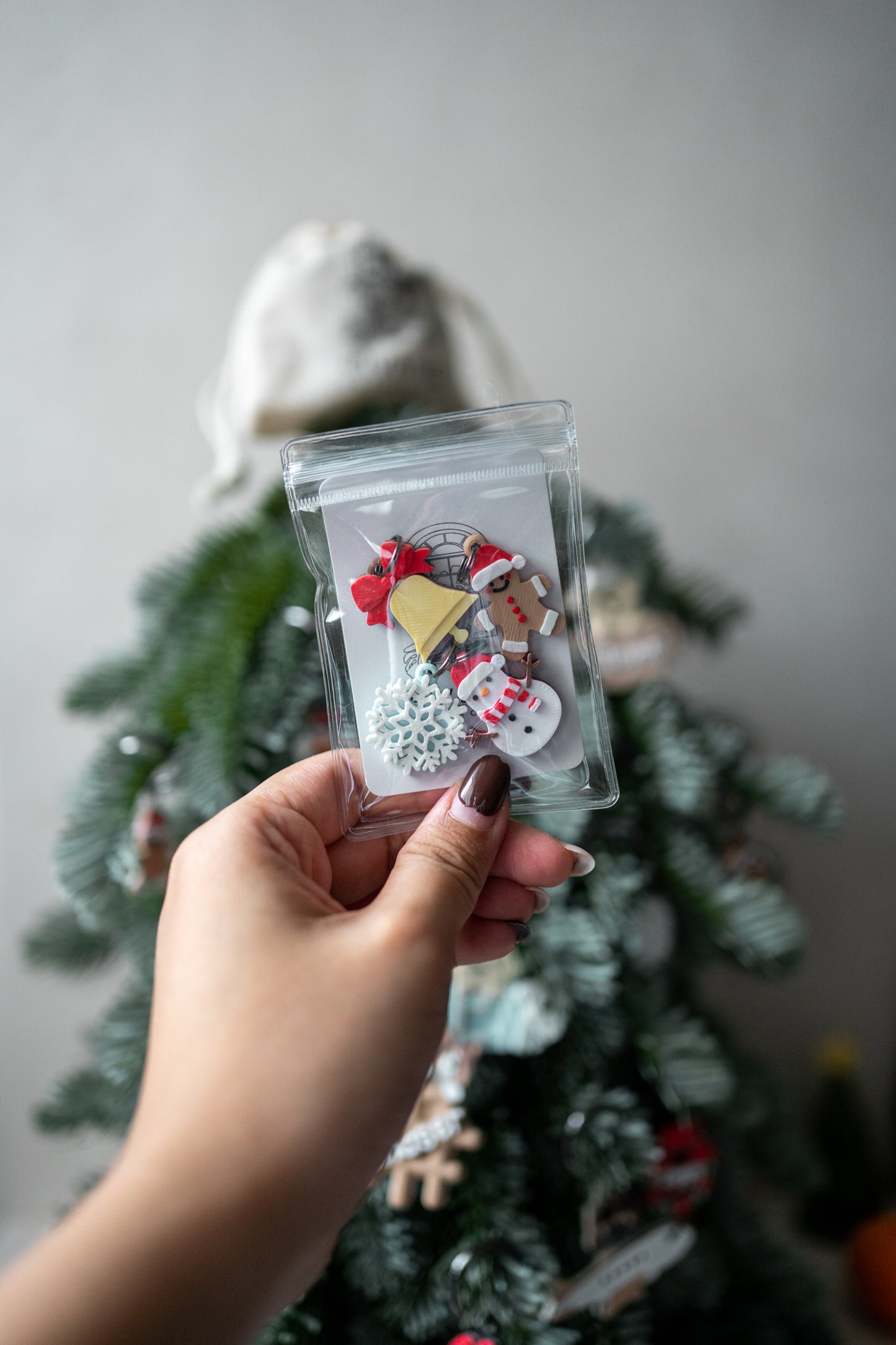 普罗索帕 |比熊