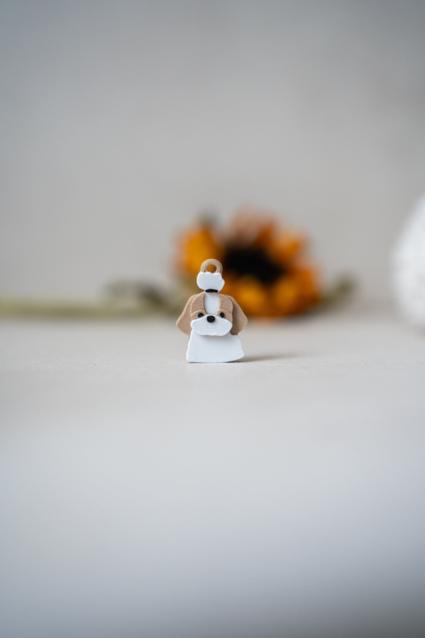 Prosopa | Shih Tzu