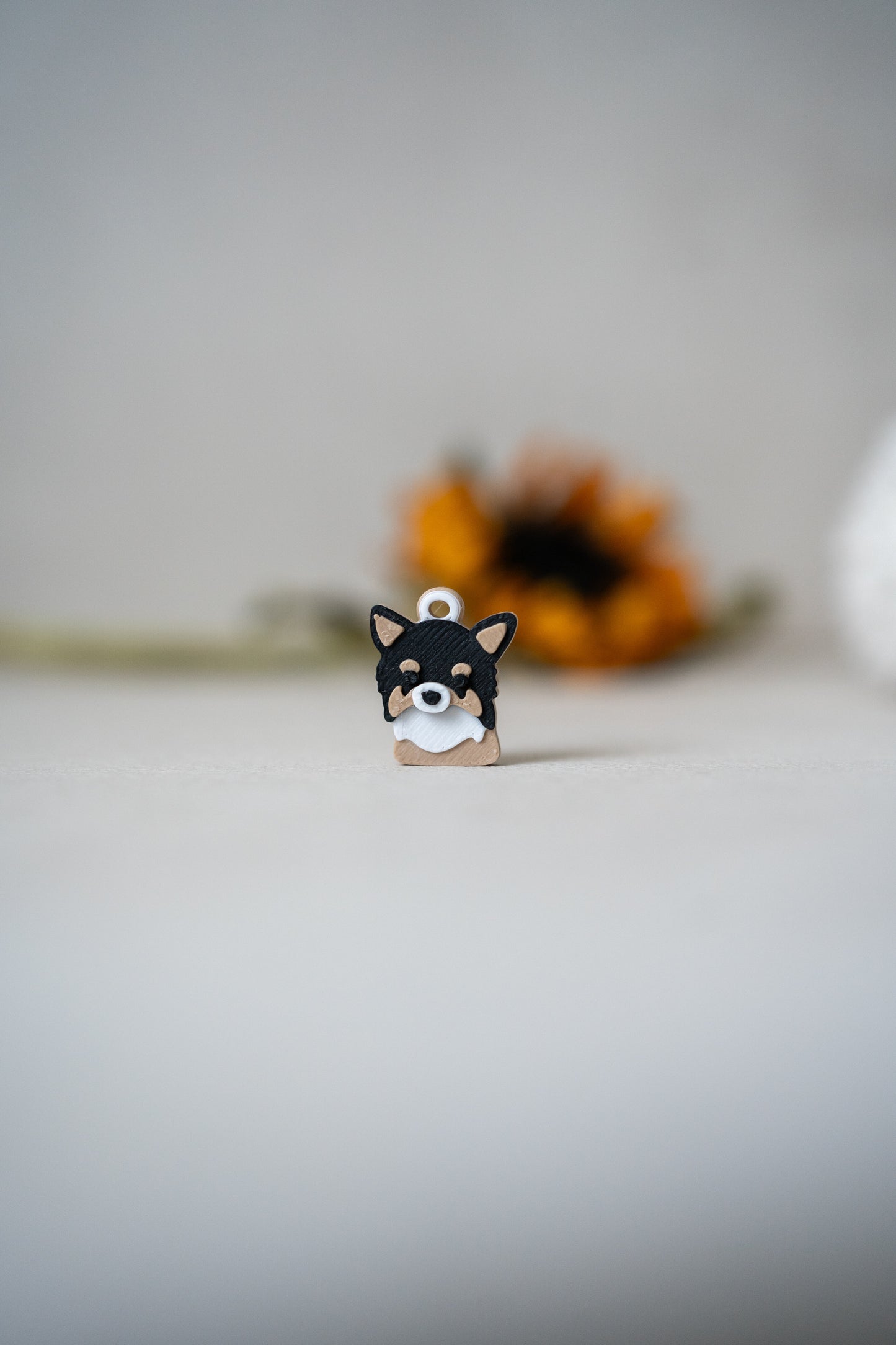 Prosopa | Chihuahua