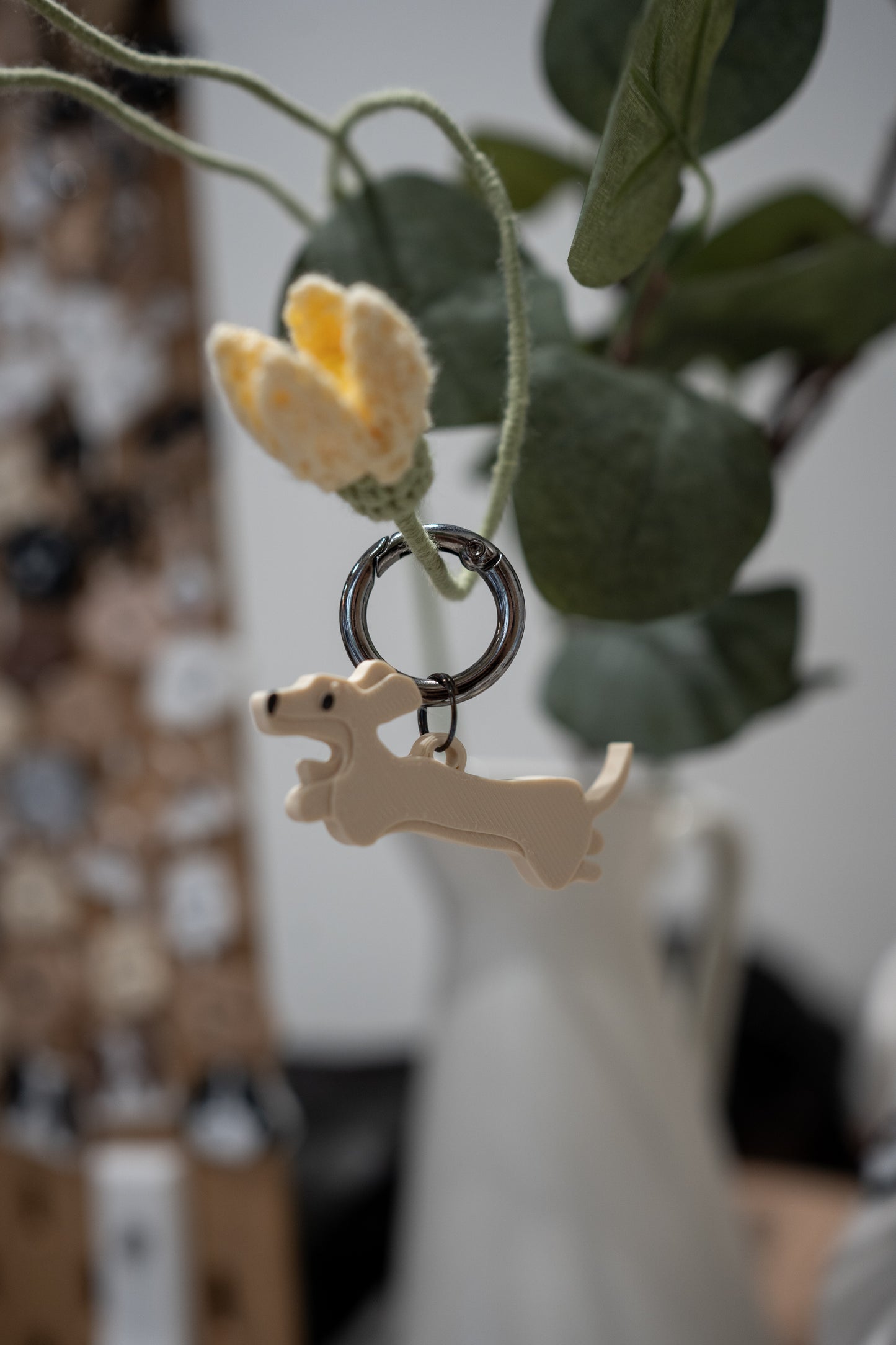 Alma | Dachshund