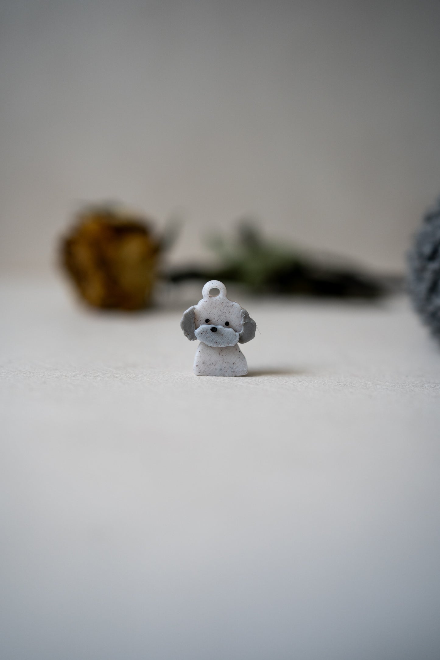 Prosopa | Poodle
