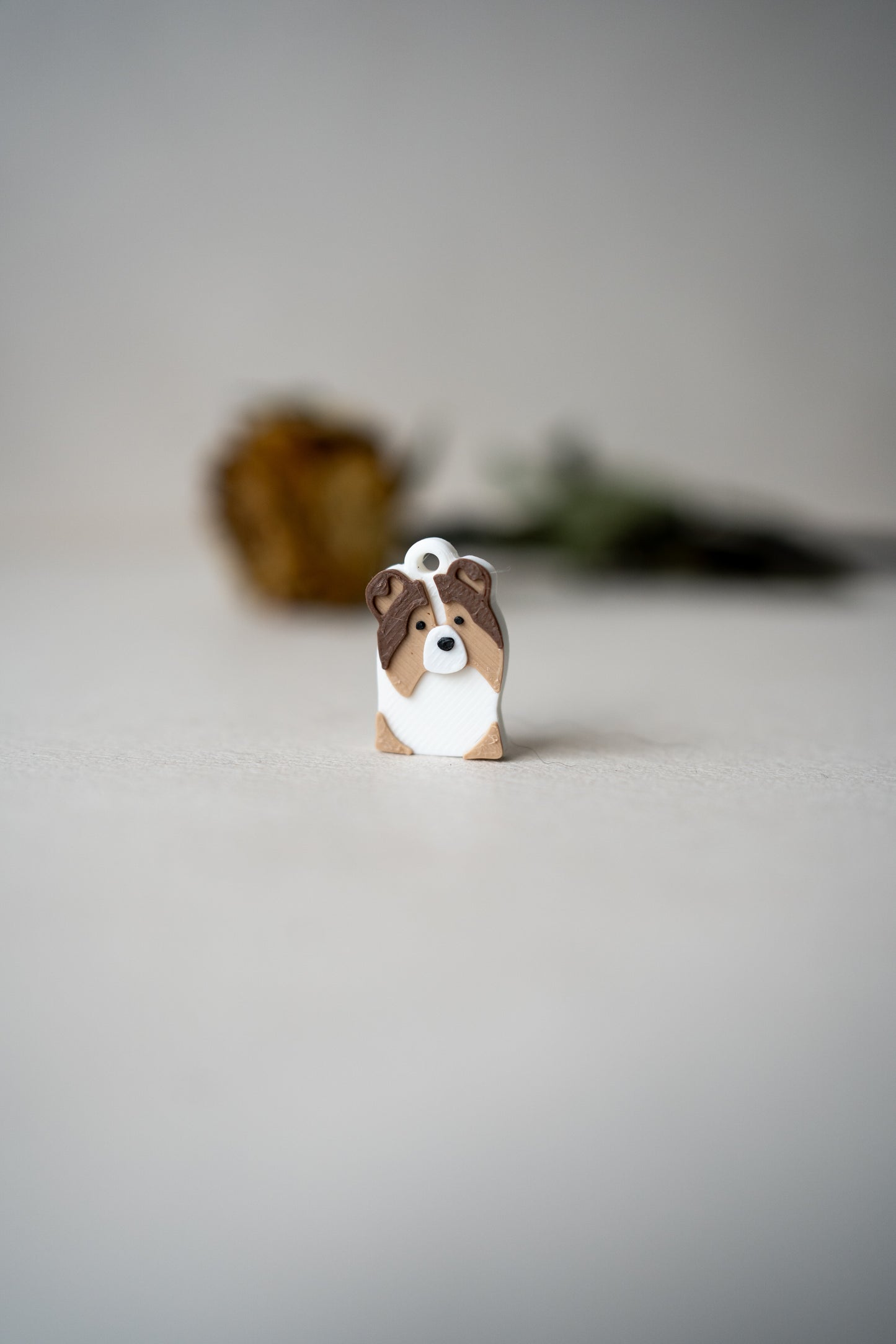Prosopa | Sheltie