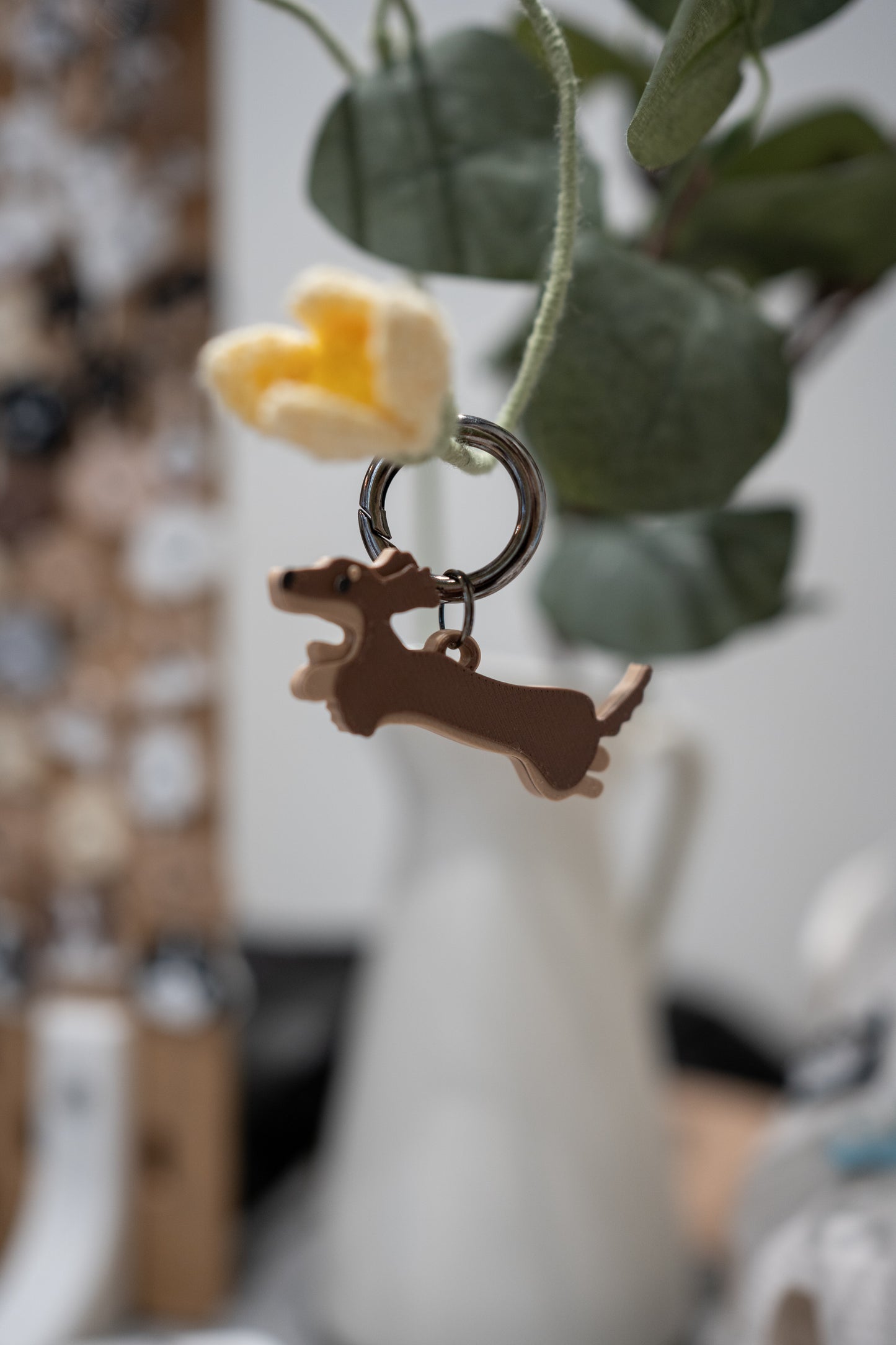 Alma | Dachshund
