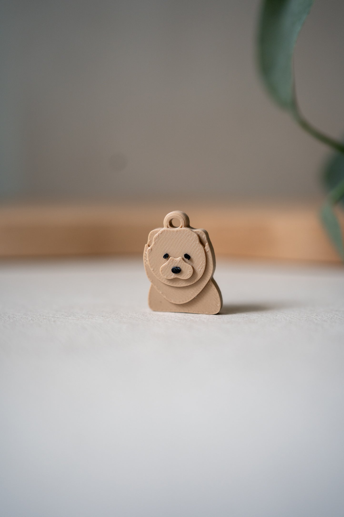 Prosopa | Chow Chow