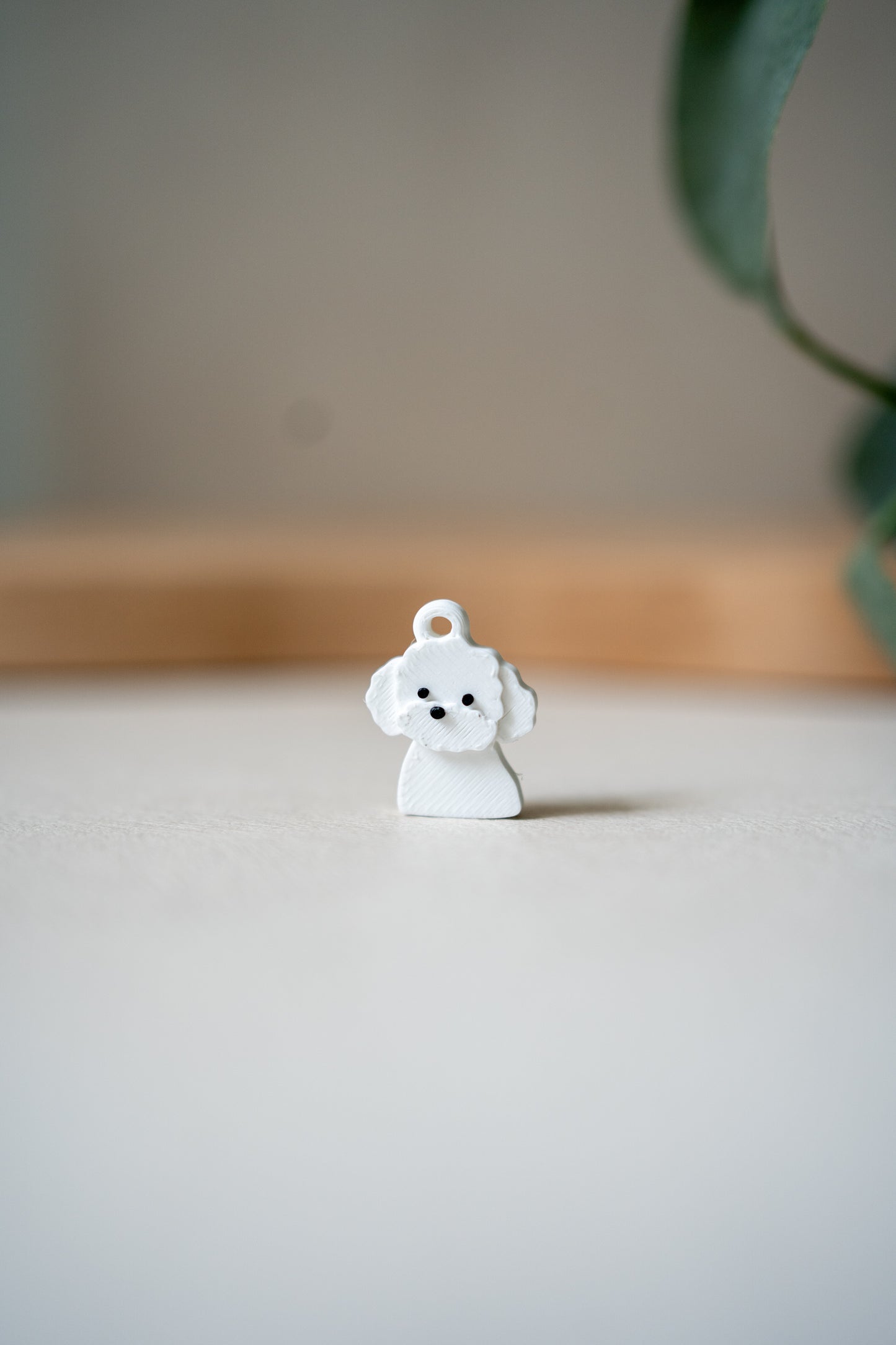 Prosopa | Poodle