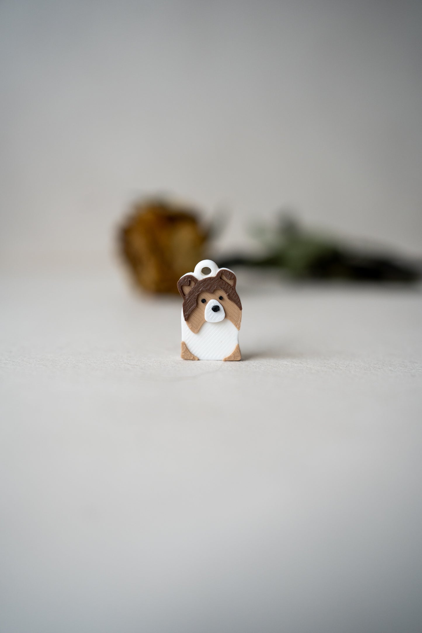 Prosopa | Sheltie