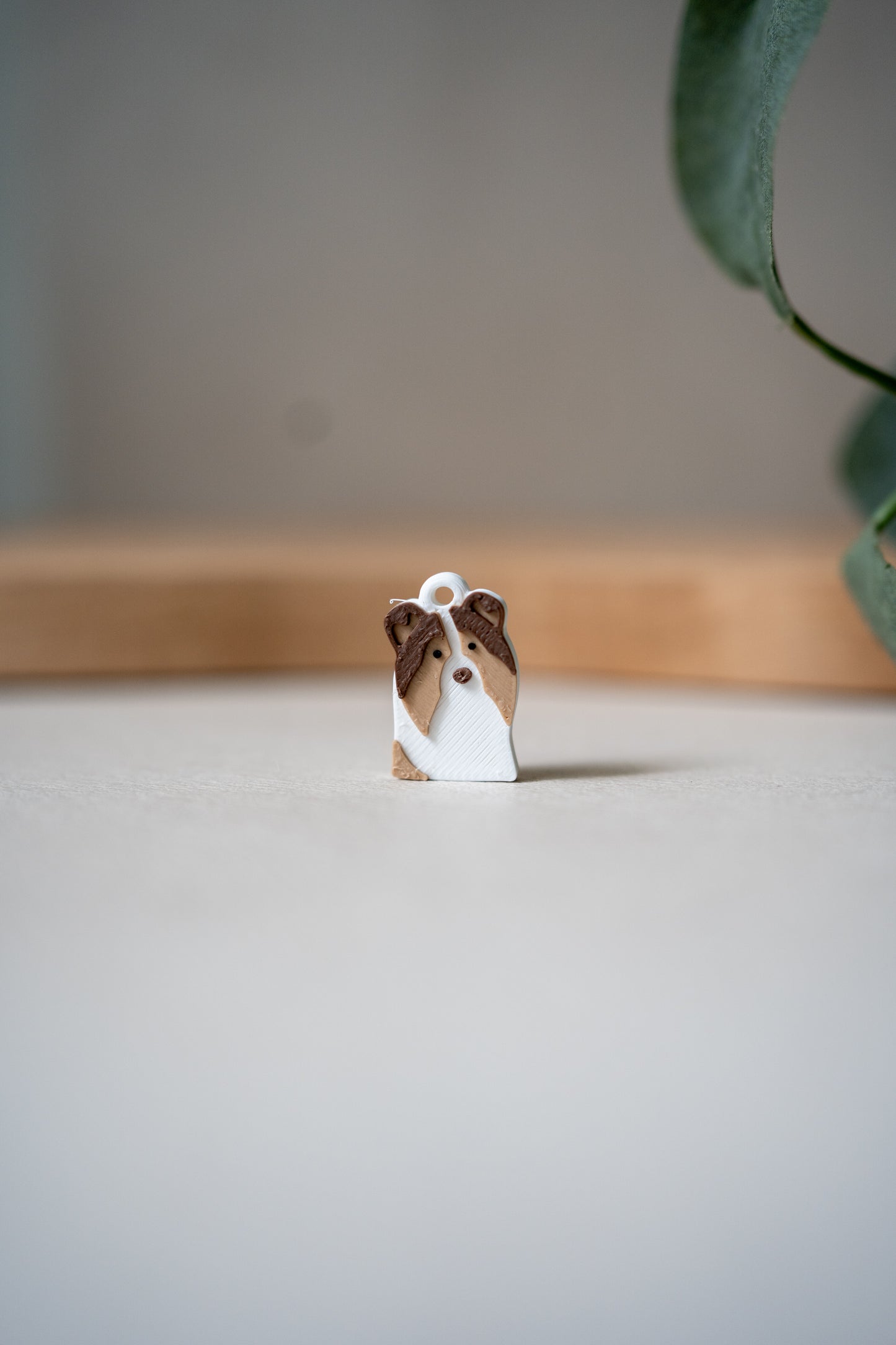 Prosopa | Sheltie