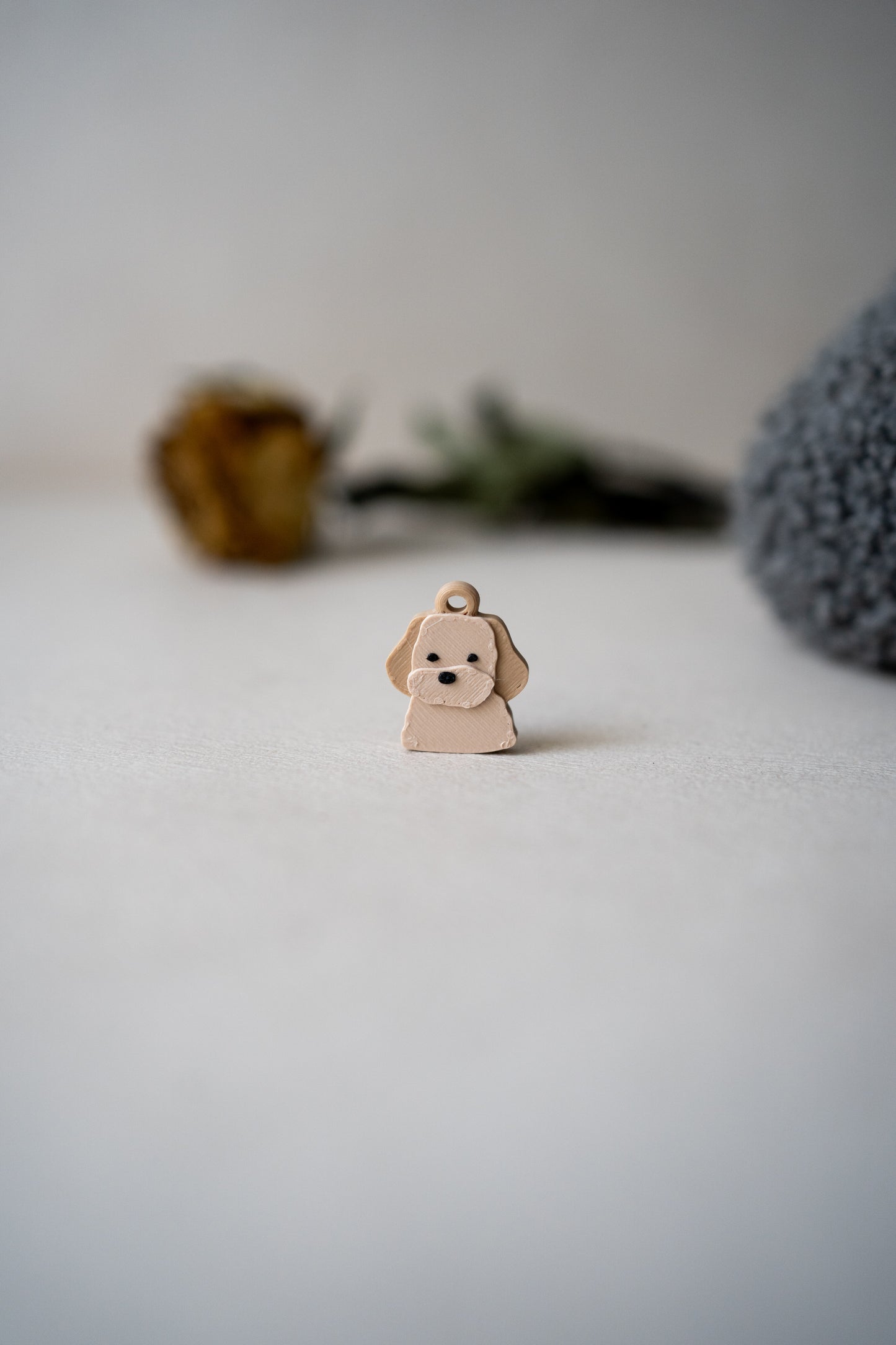 Prosopa | Poodle-Mix