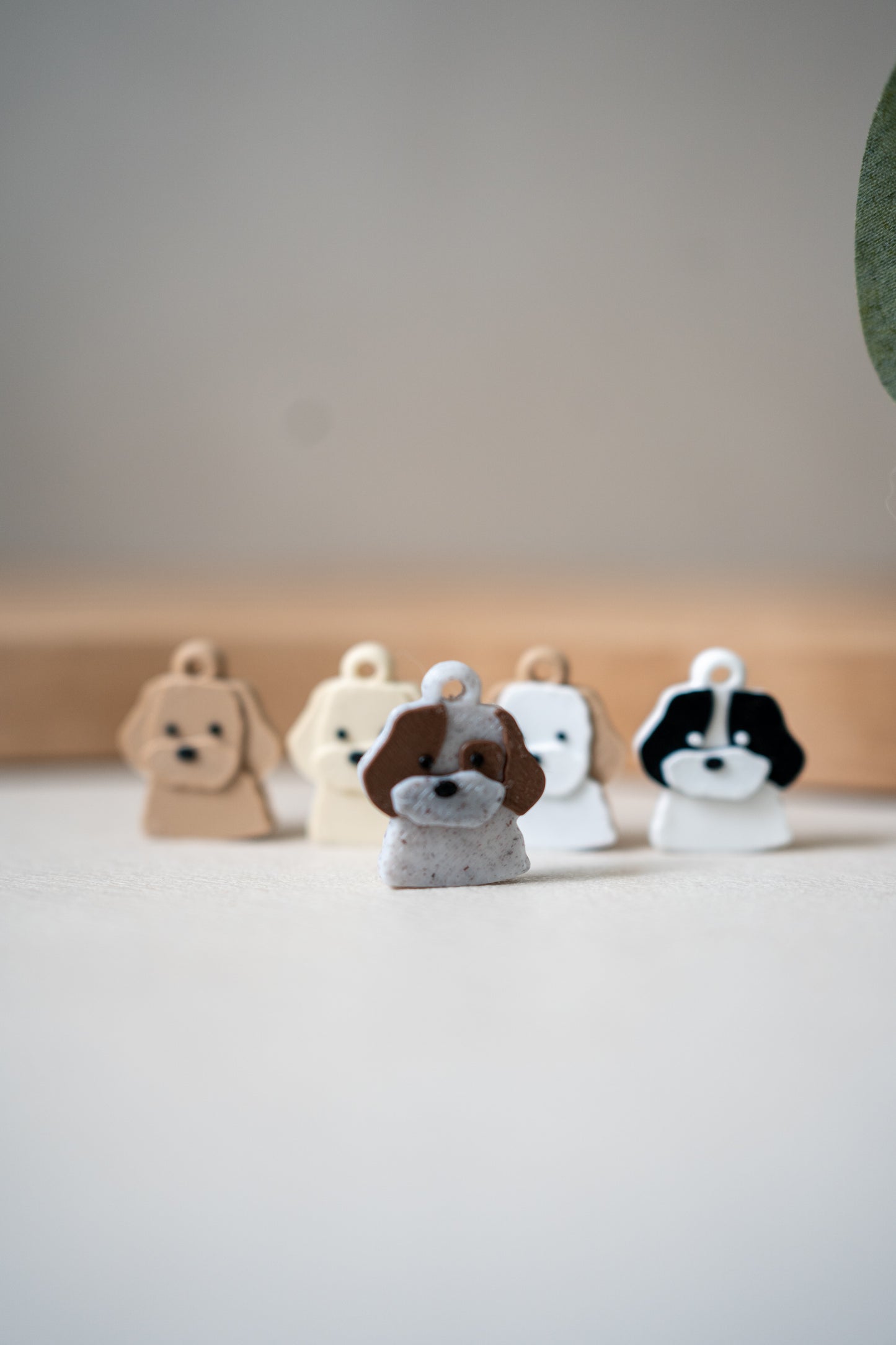 Prosopa | Poodle-Mix
