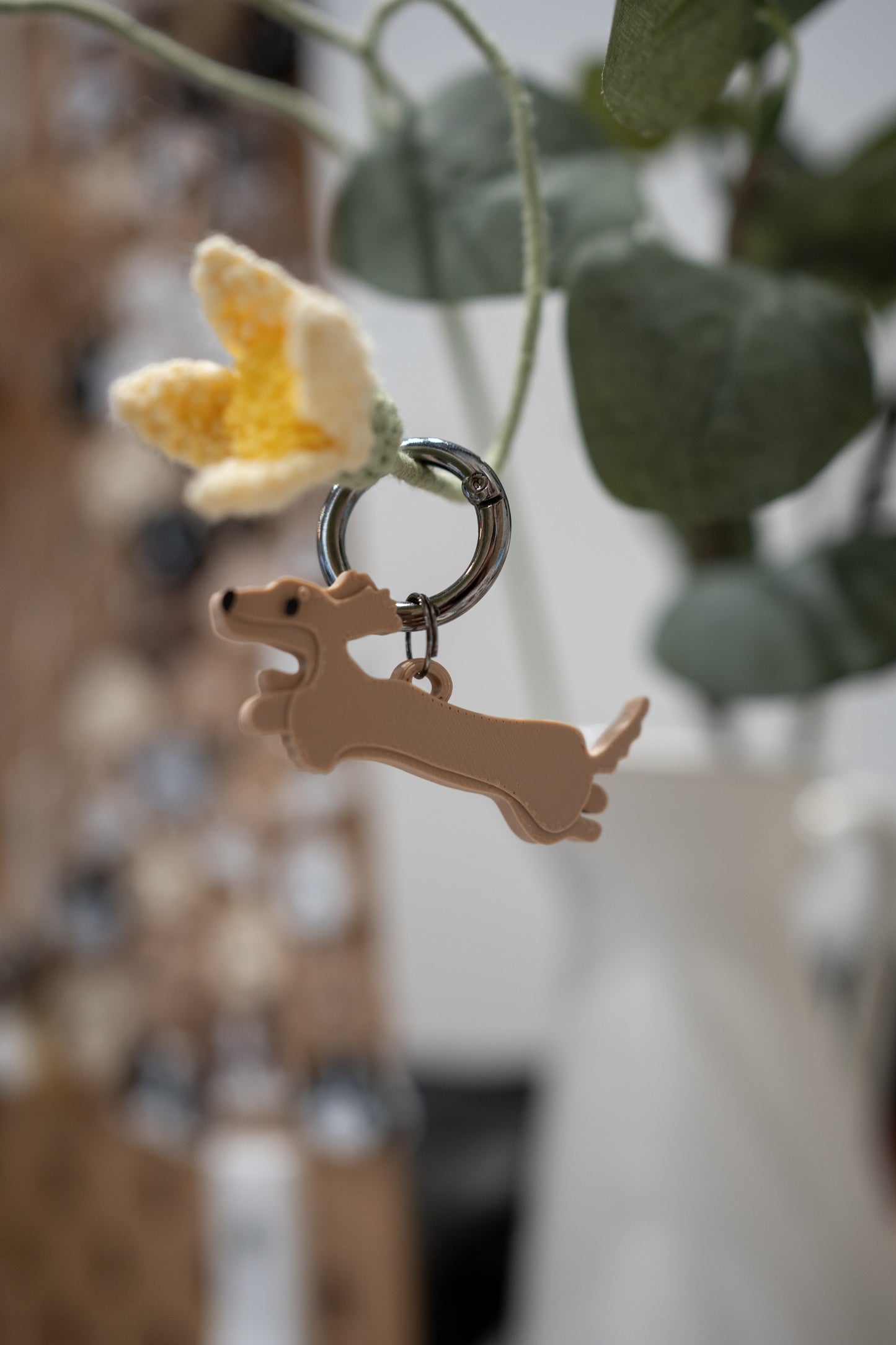 Alma | Dachshund