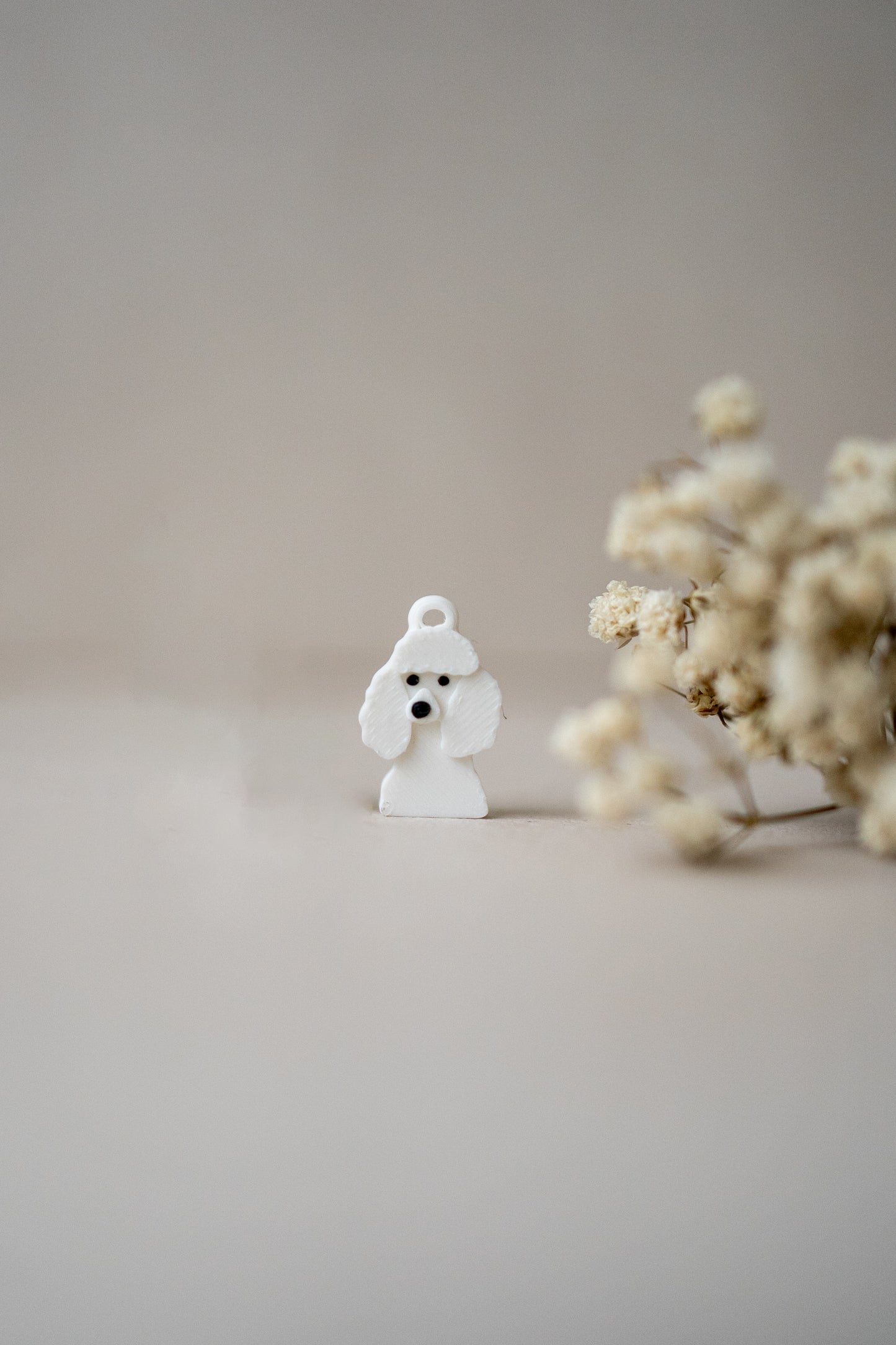 Prosopa | Poodle