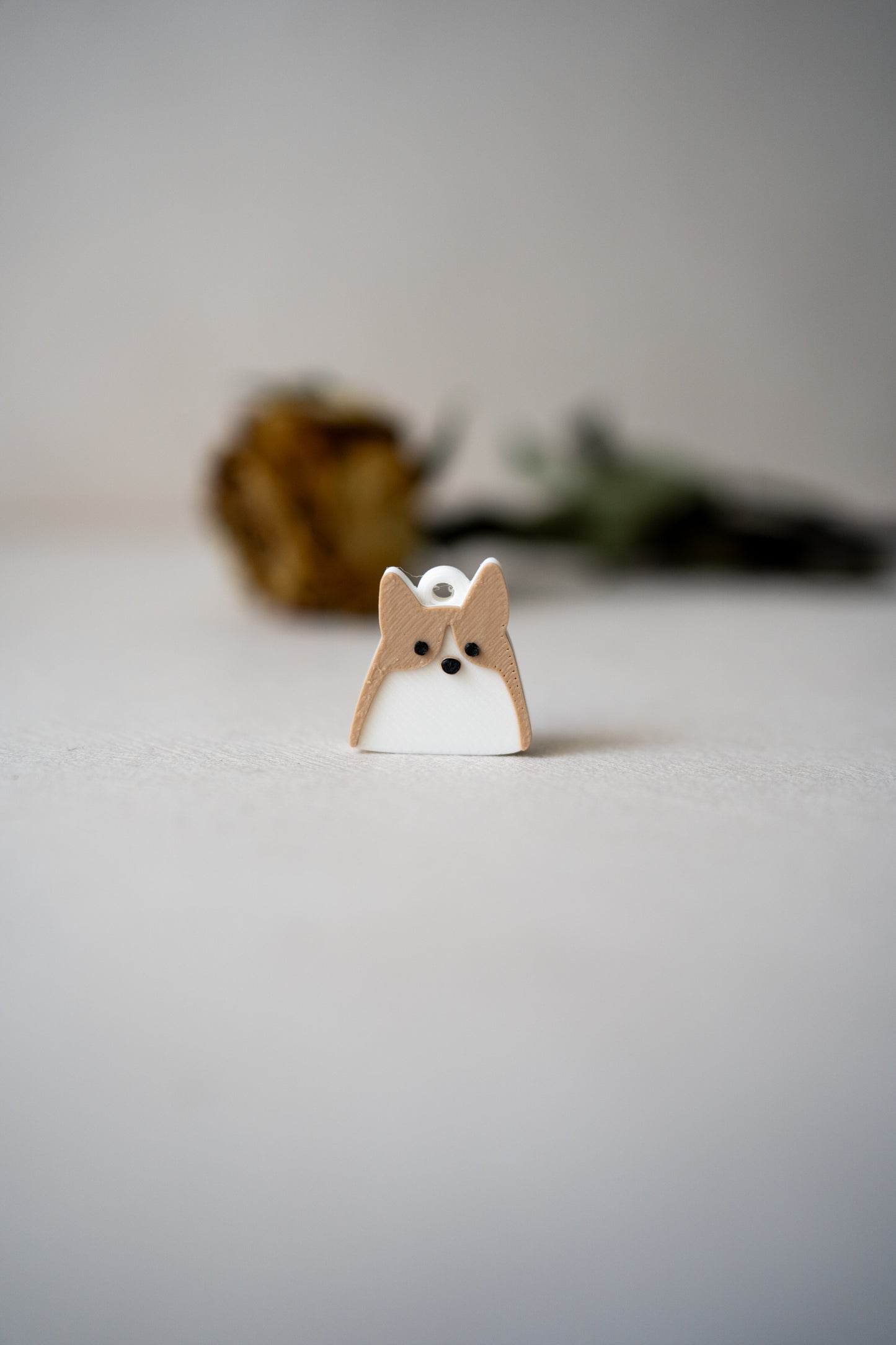 Prosopa | Corgi