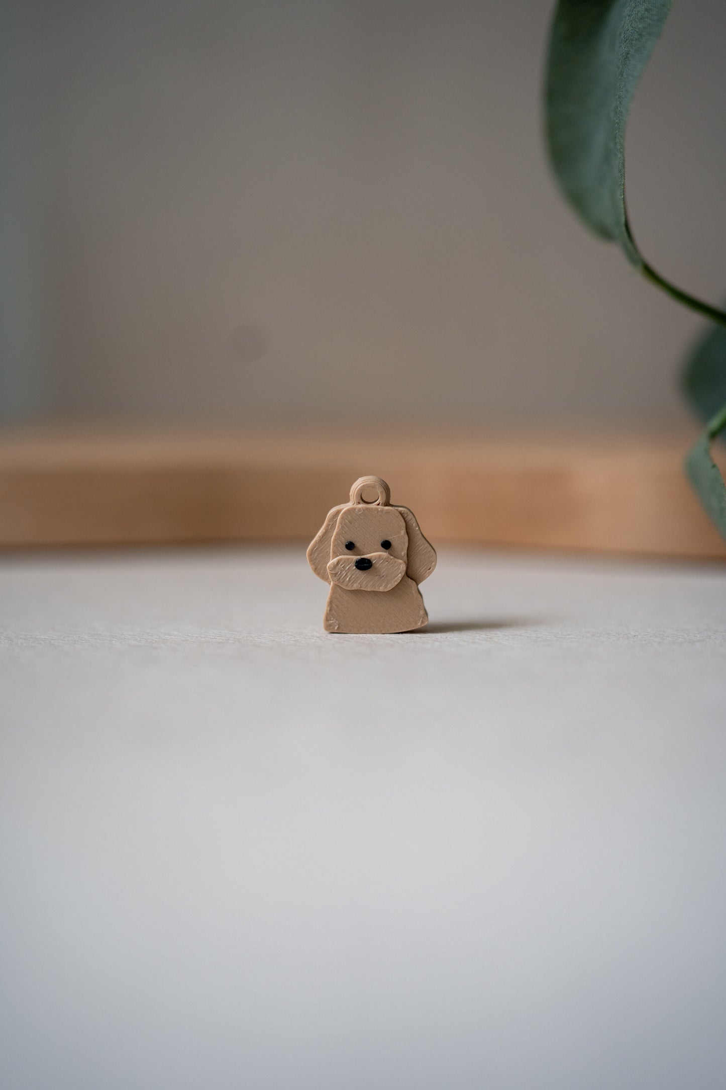 Prosopa | Poodle-Mix