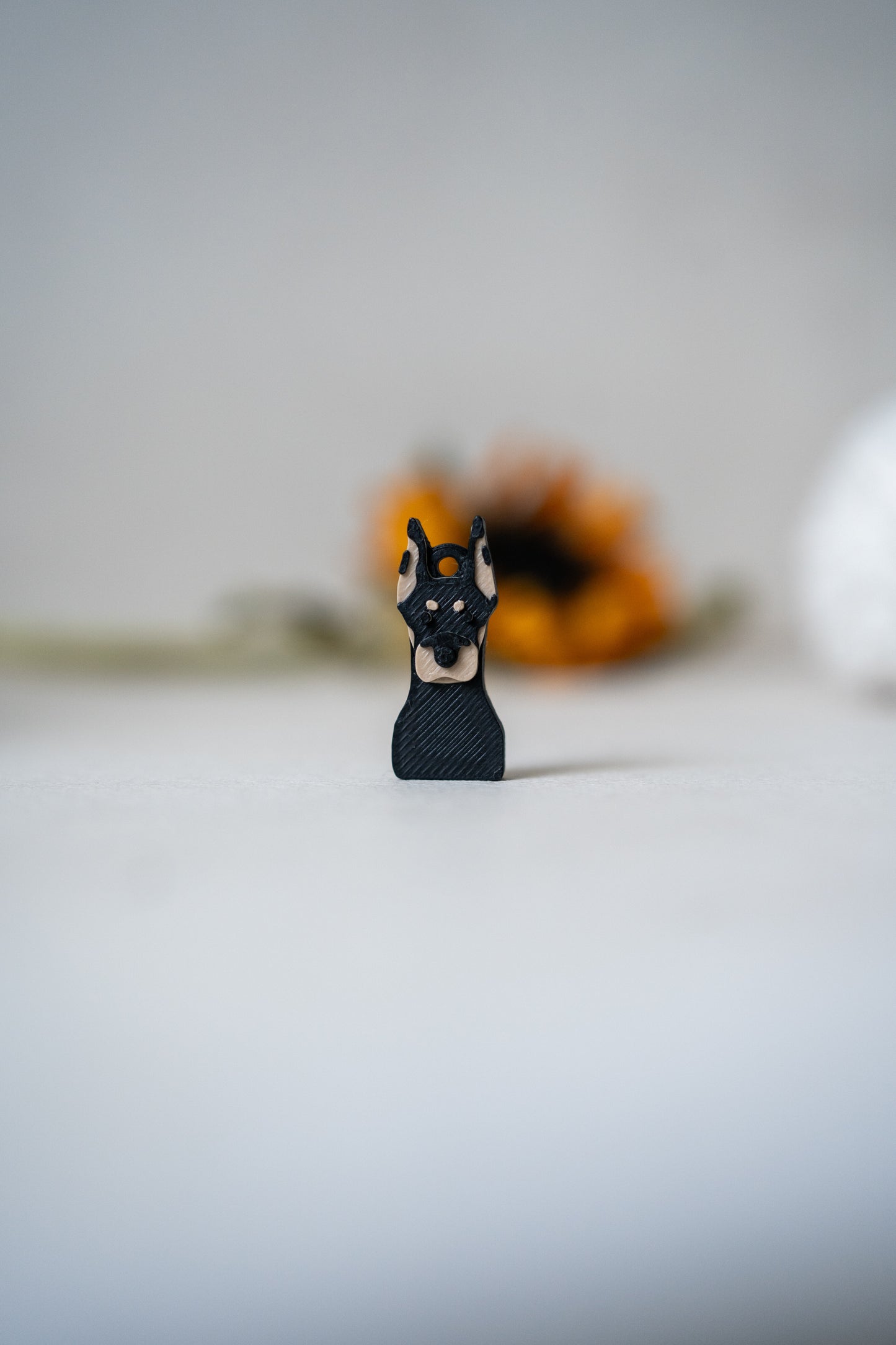 Prosopa | Dobermann