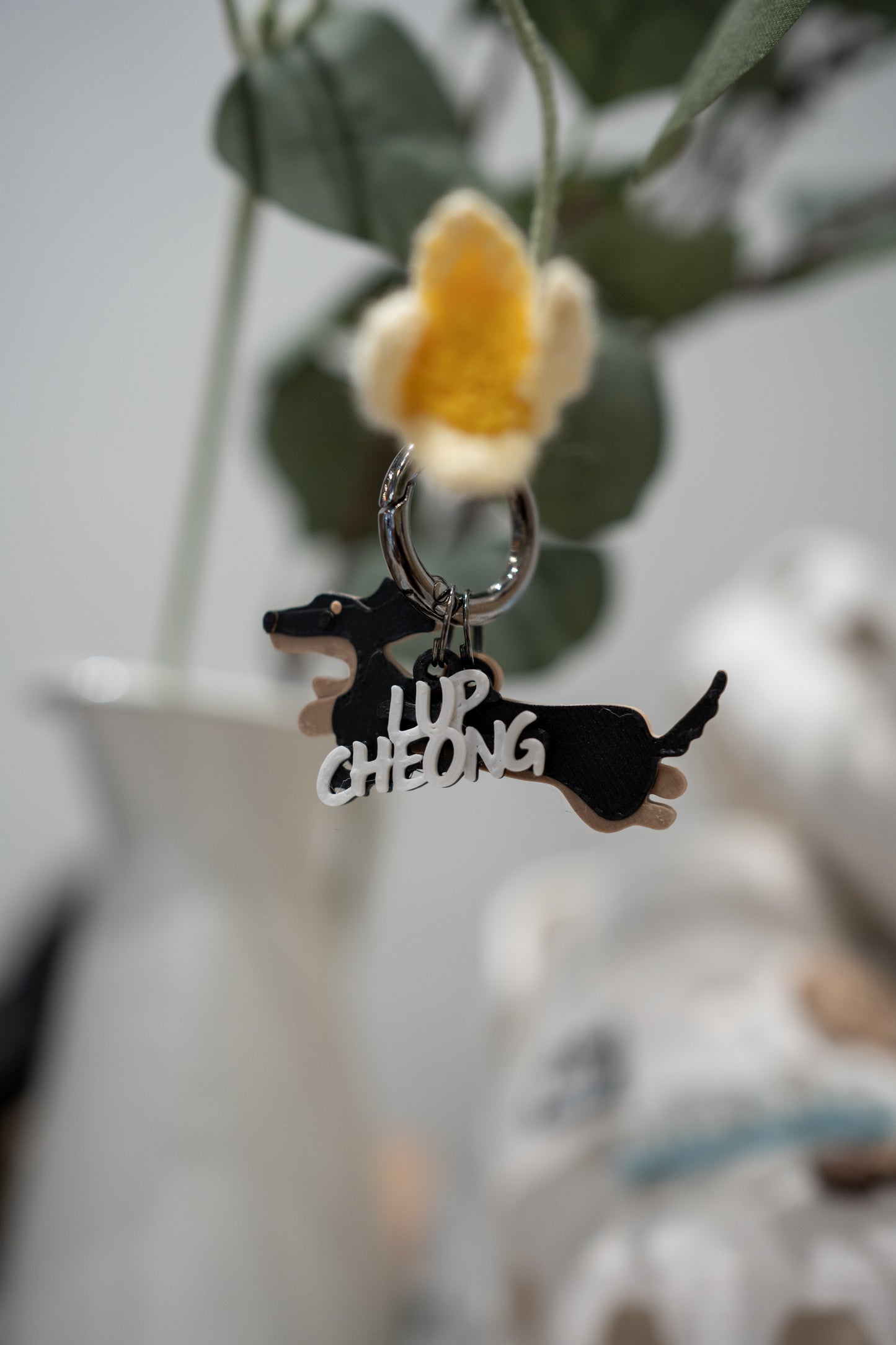 Alma | Dachshund & Name