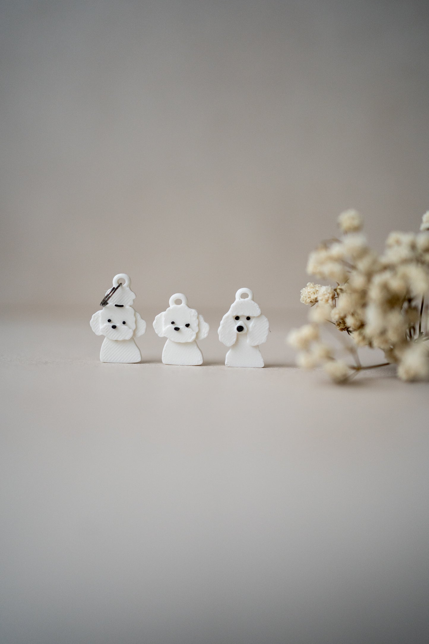 Prosopa | Poodle