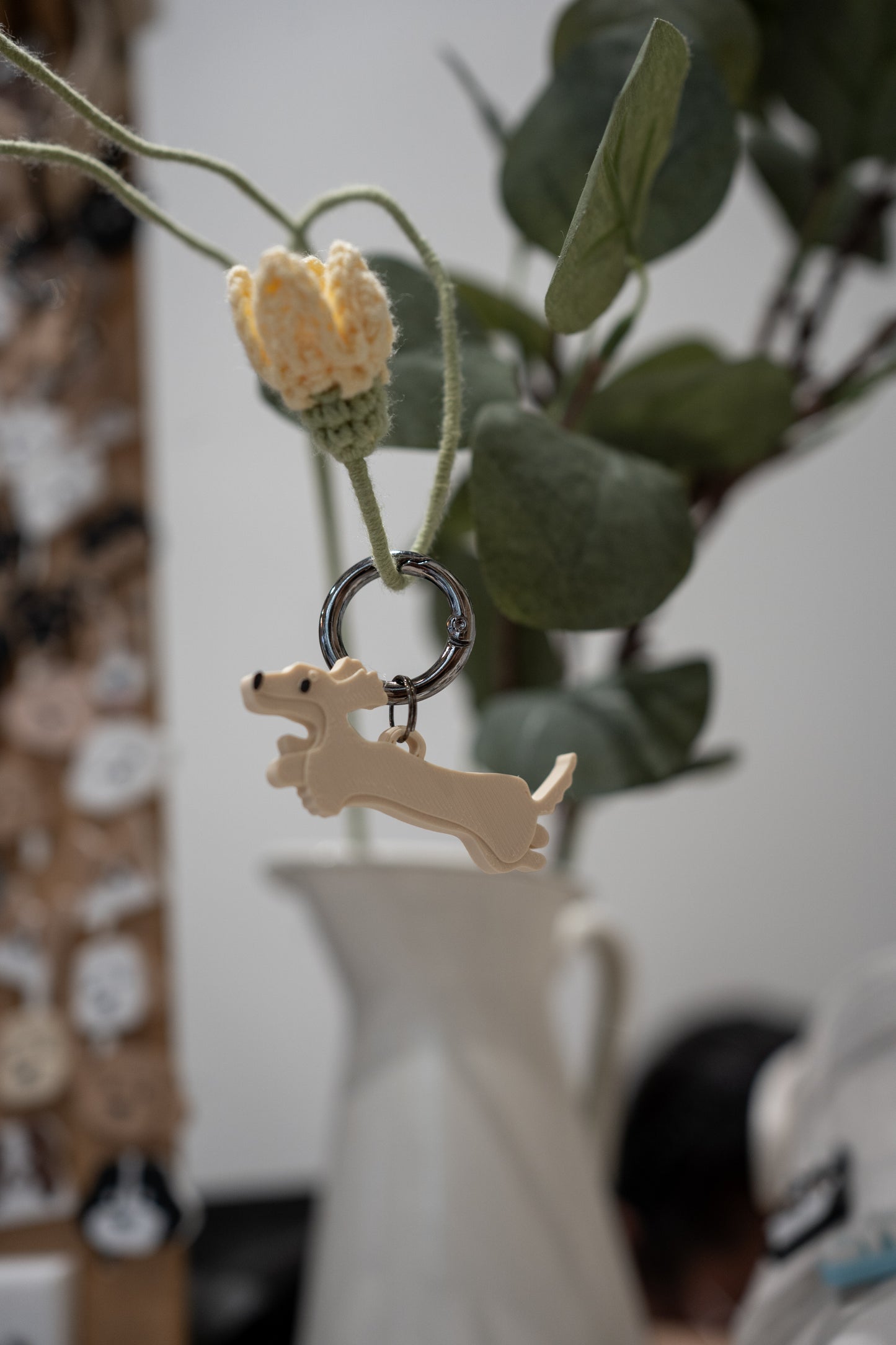 Alma | Dachshund