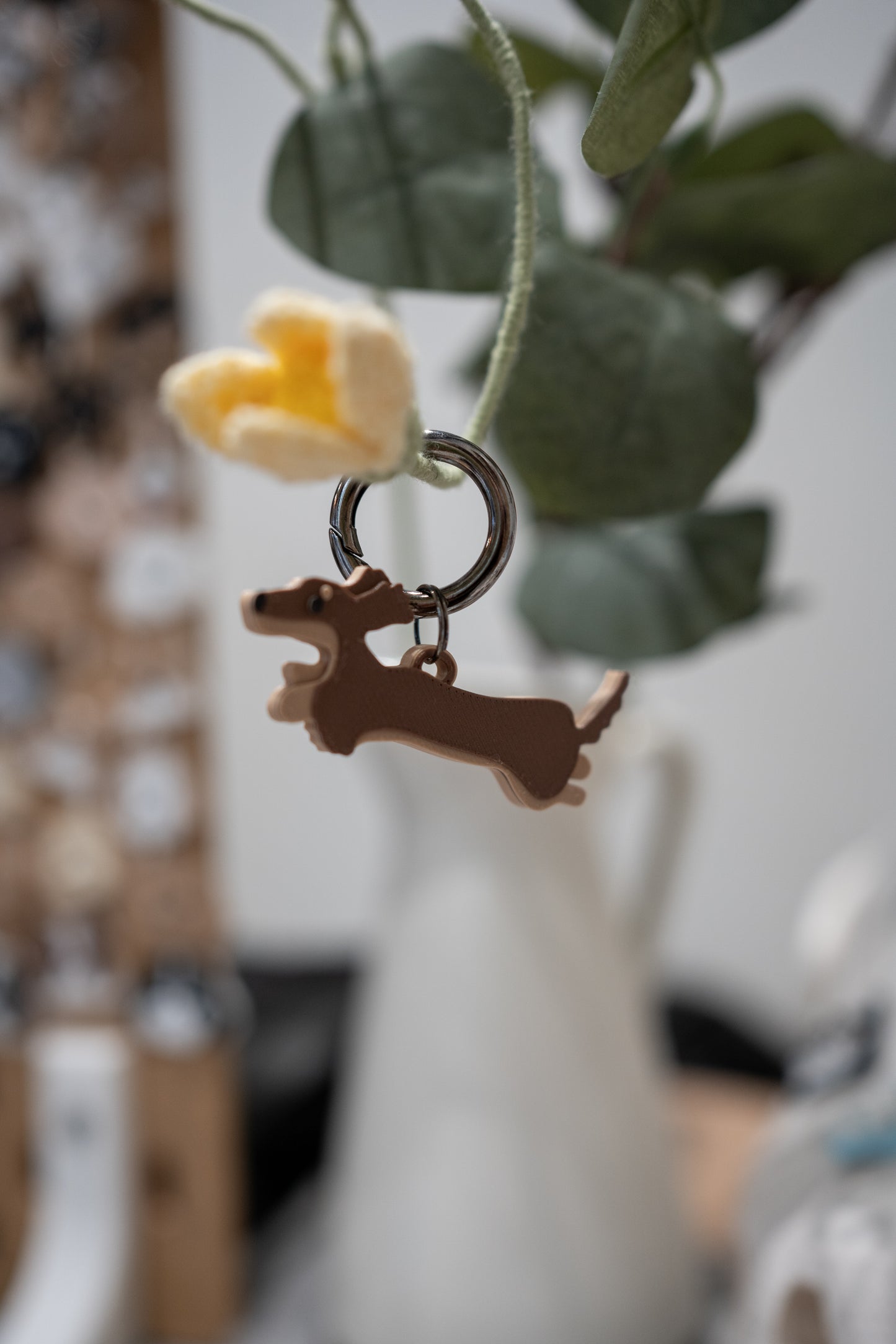 Alma | Dachshund