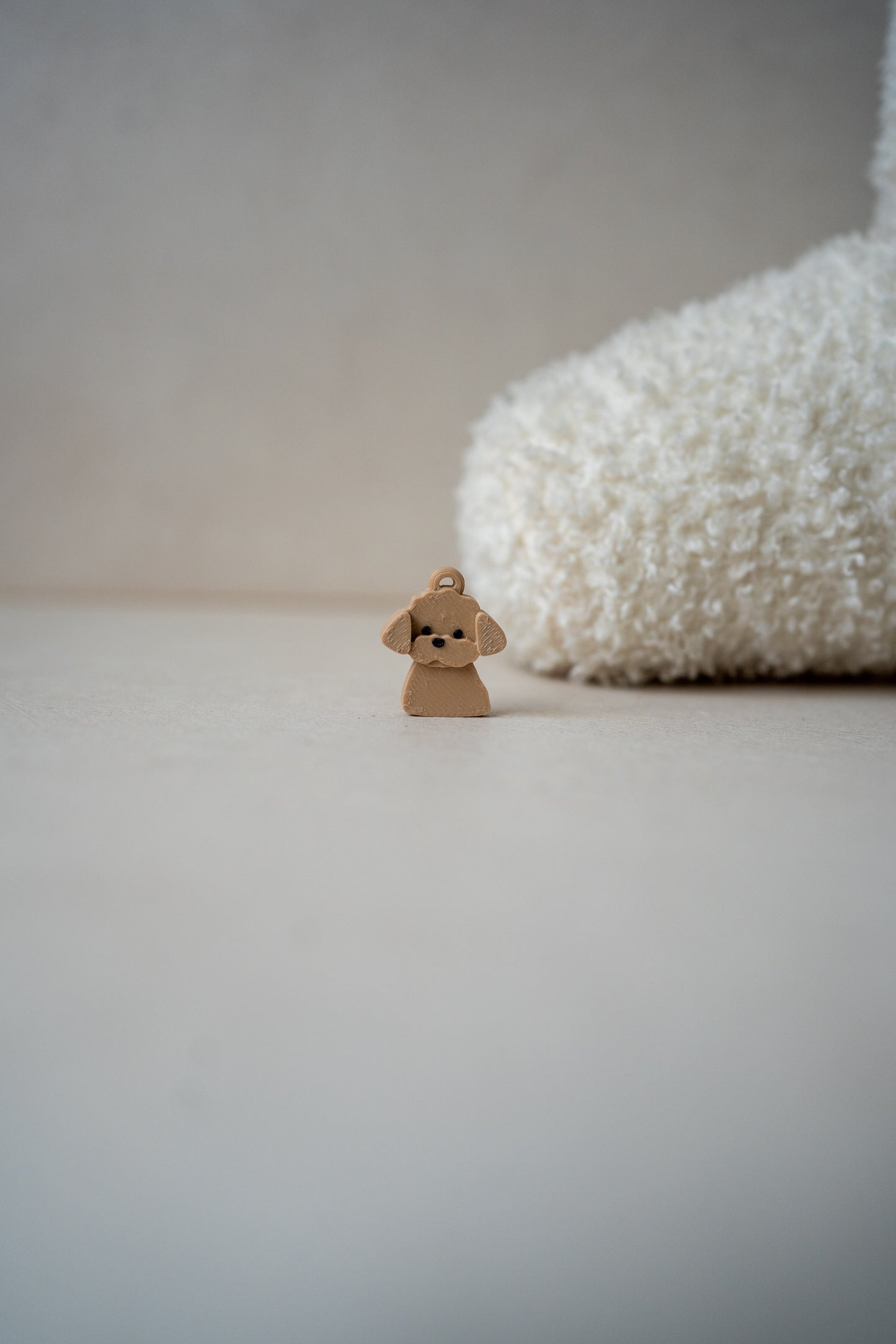 Prosopa | Maltipoo