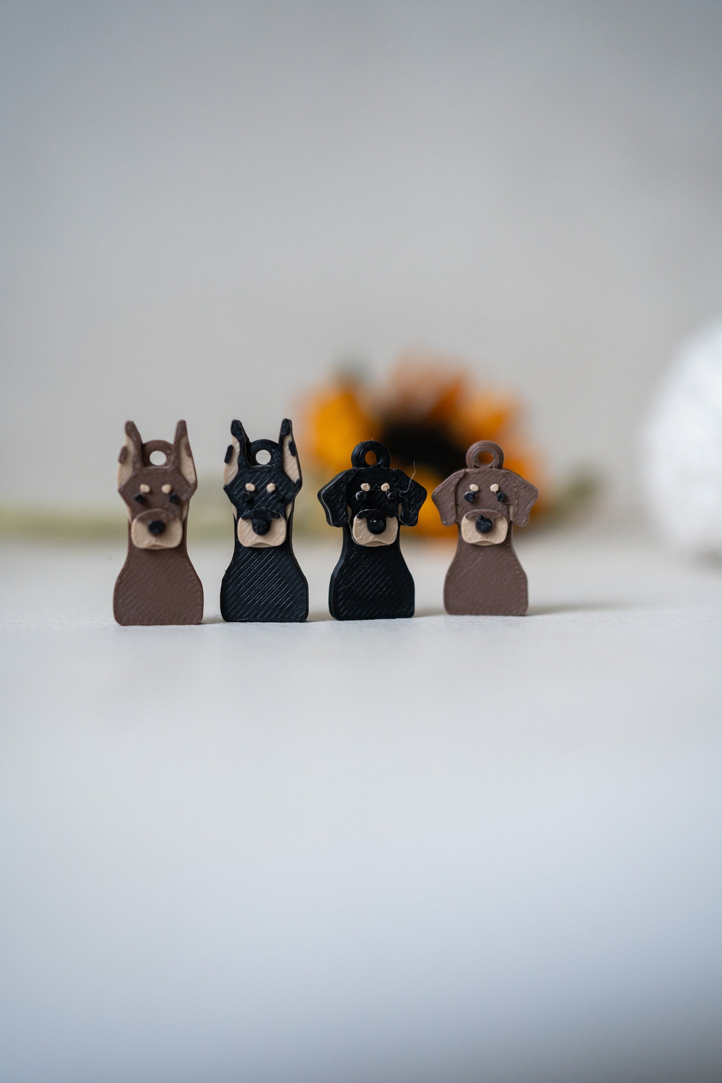 Prosopa | Dobermann