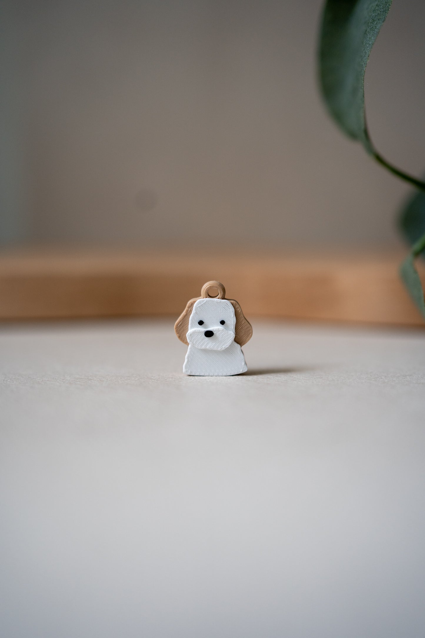 Prosopa | Poodle-Mix