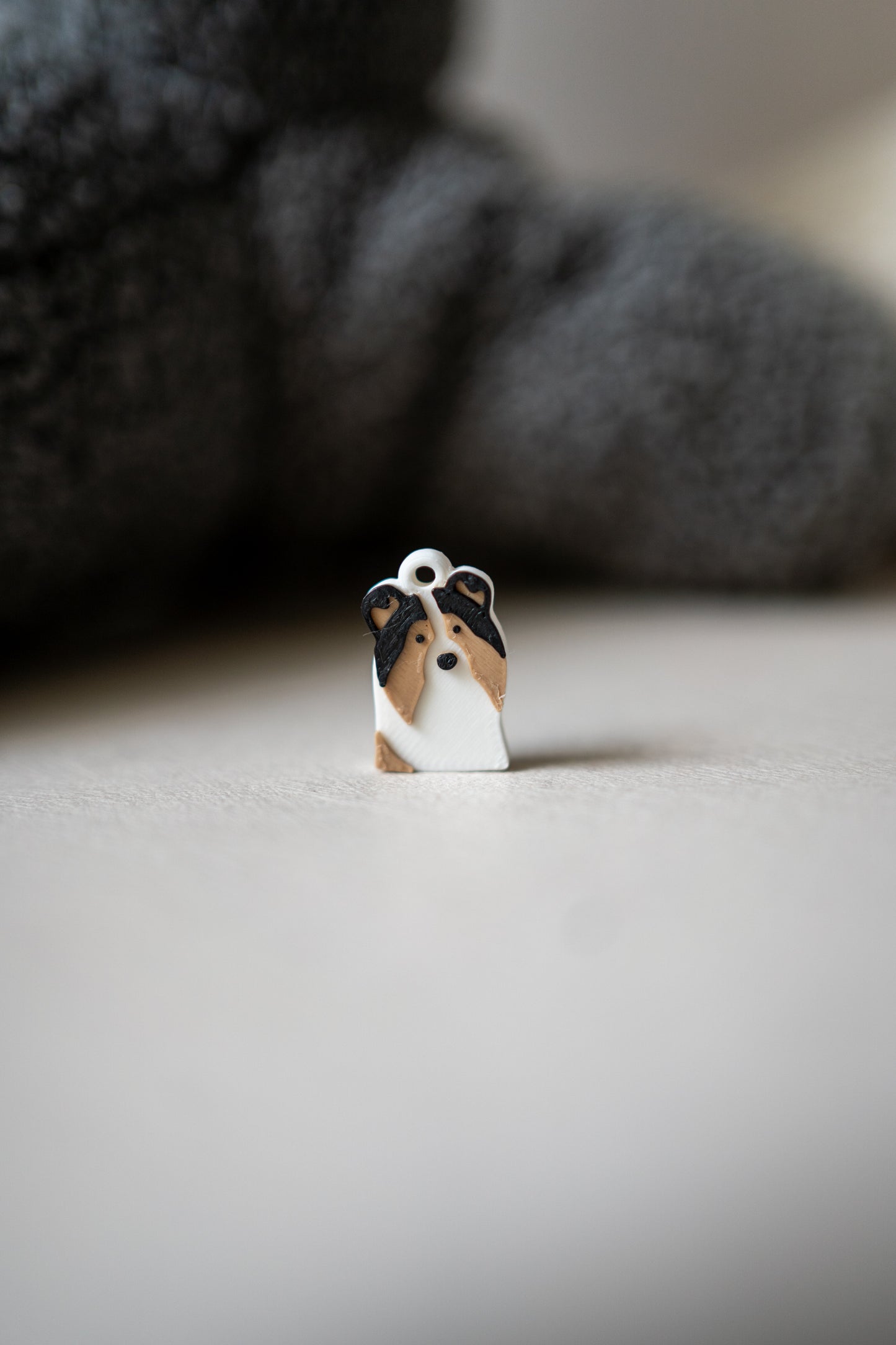 Prosopa | Sheltie
