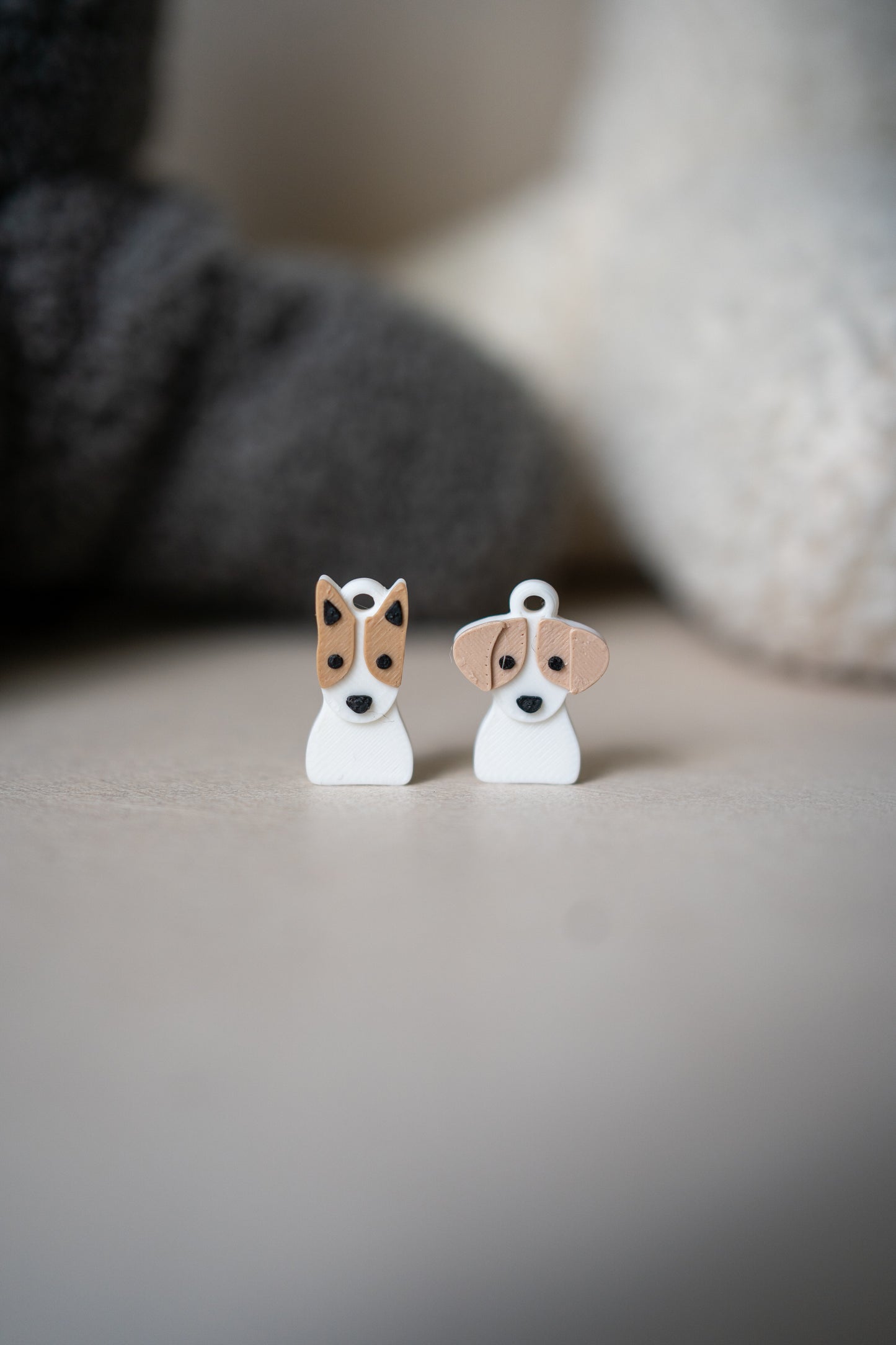 Prosopa | Jack Russell Terrier