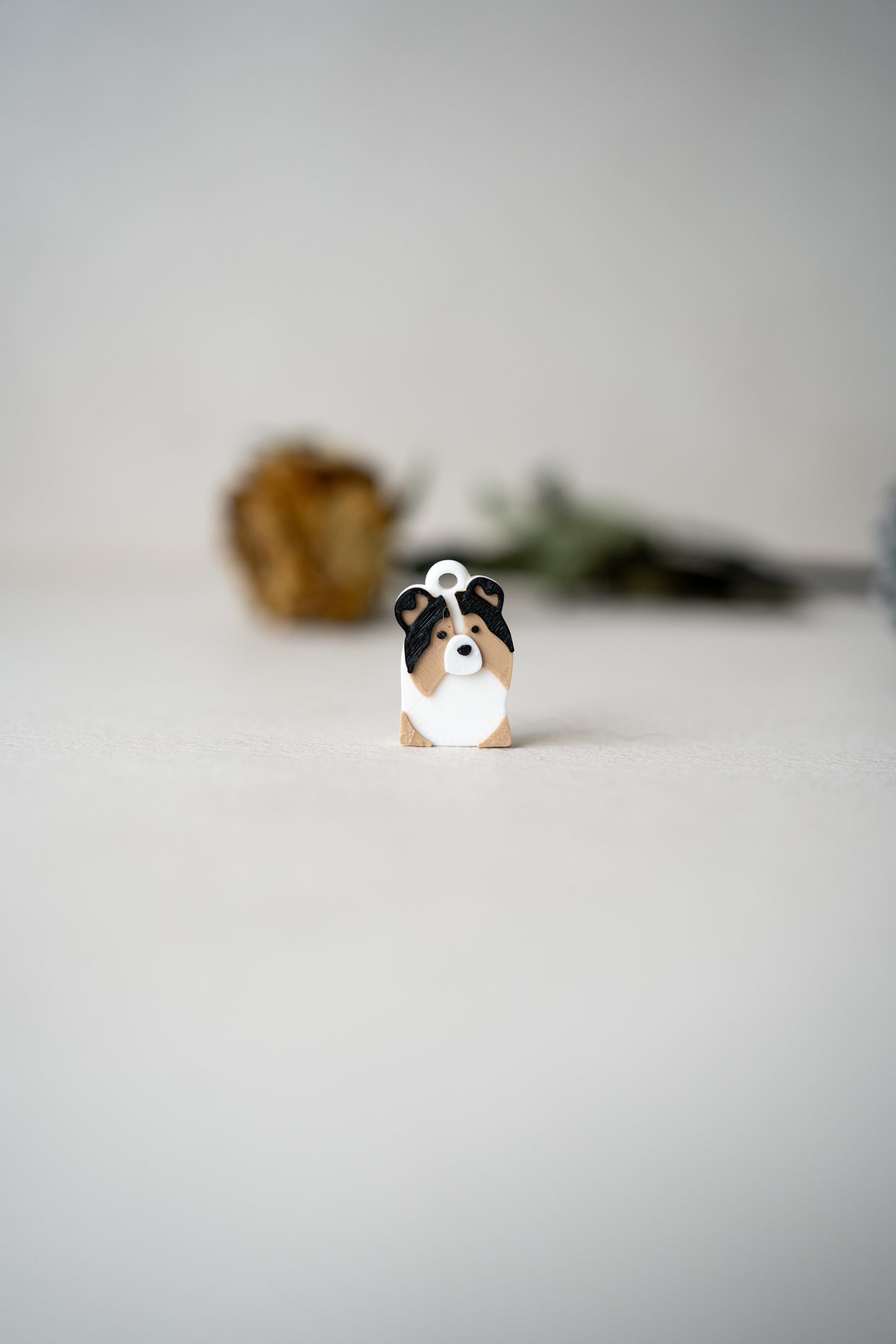 Prosopa | Sheltie