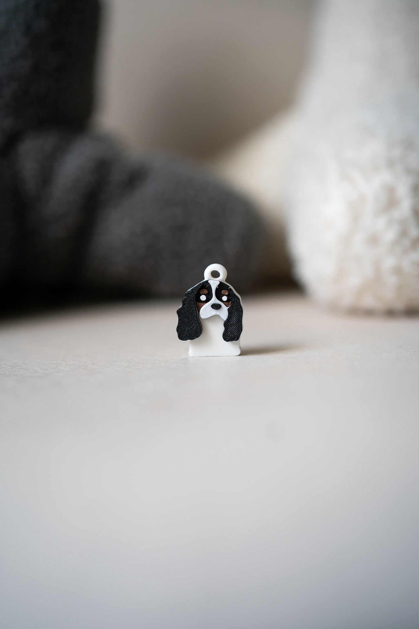 Prosopa | Raja Cavalier Charles Spaniel