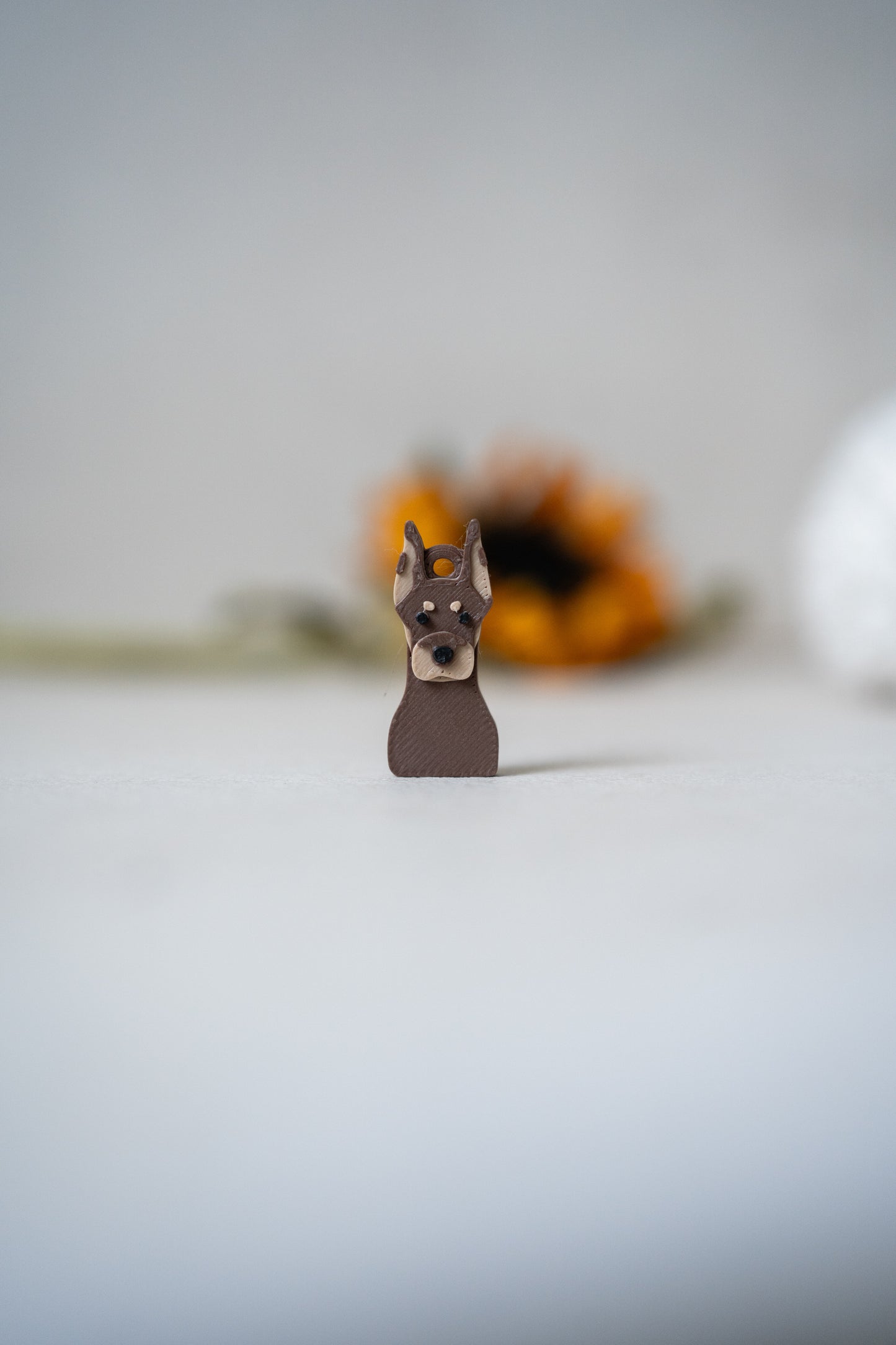Prosopa | Dobermann