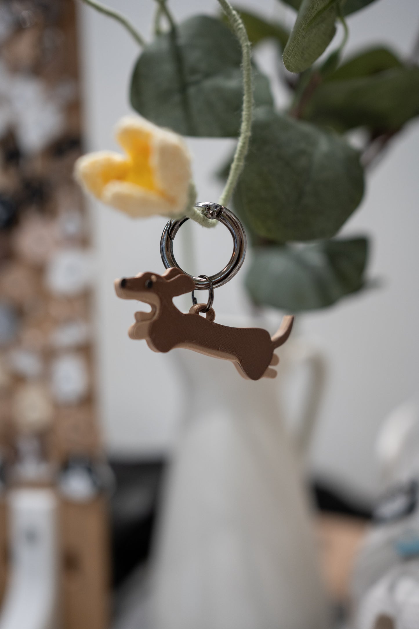 Alma | Dachshund