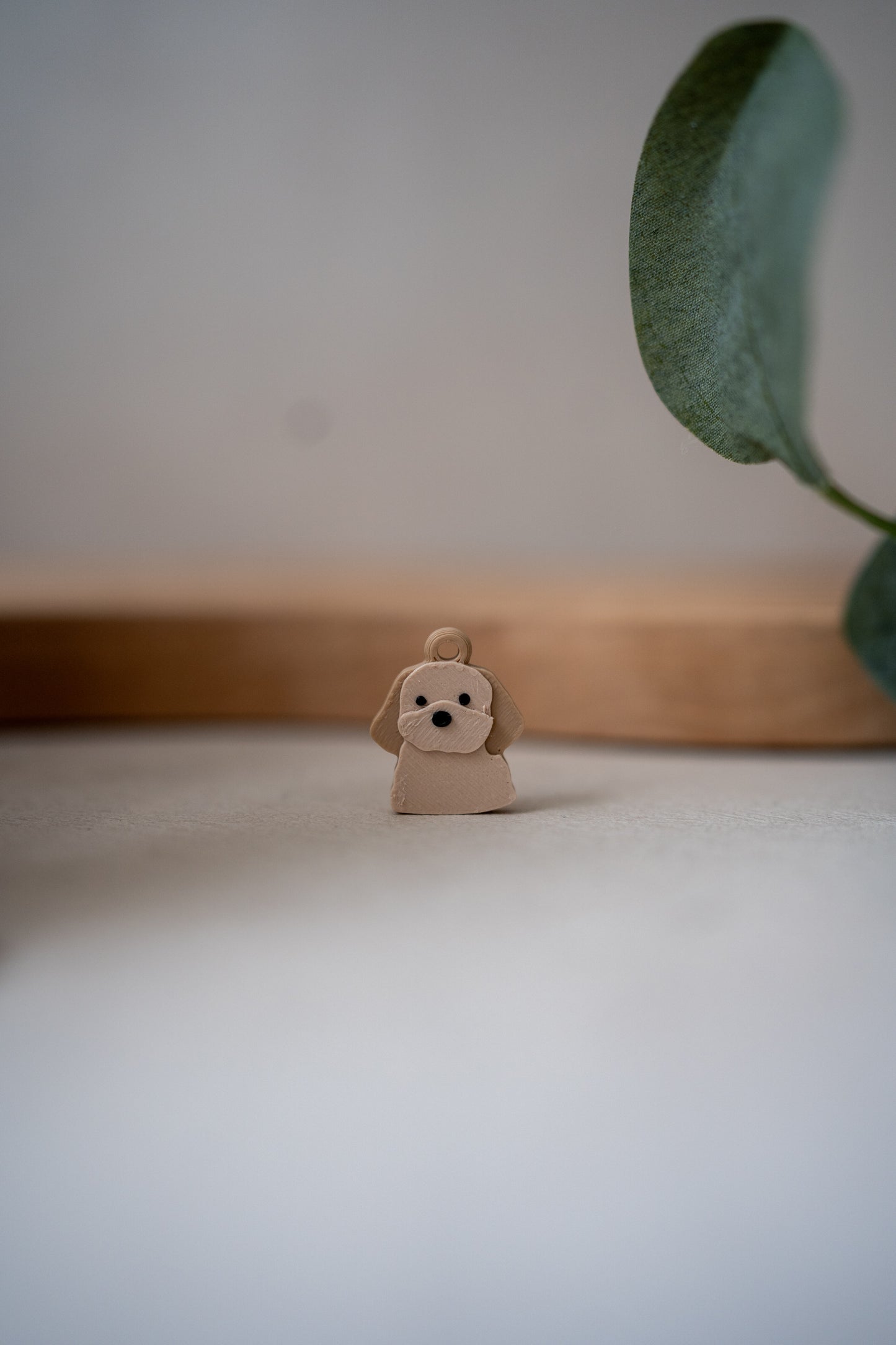 Prosopa | Cavachon
