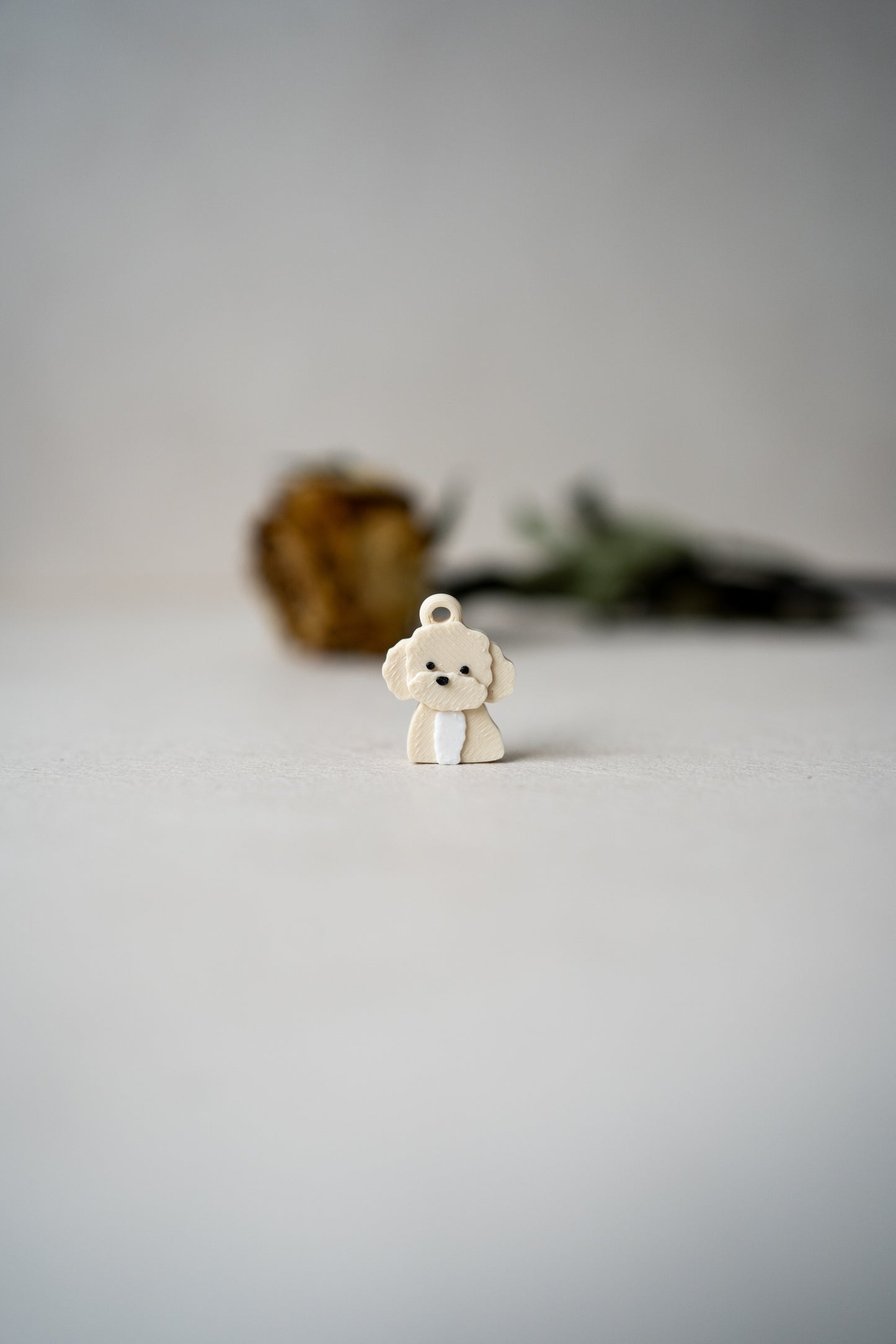 Prosopa | Poodle