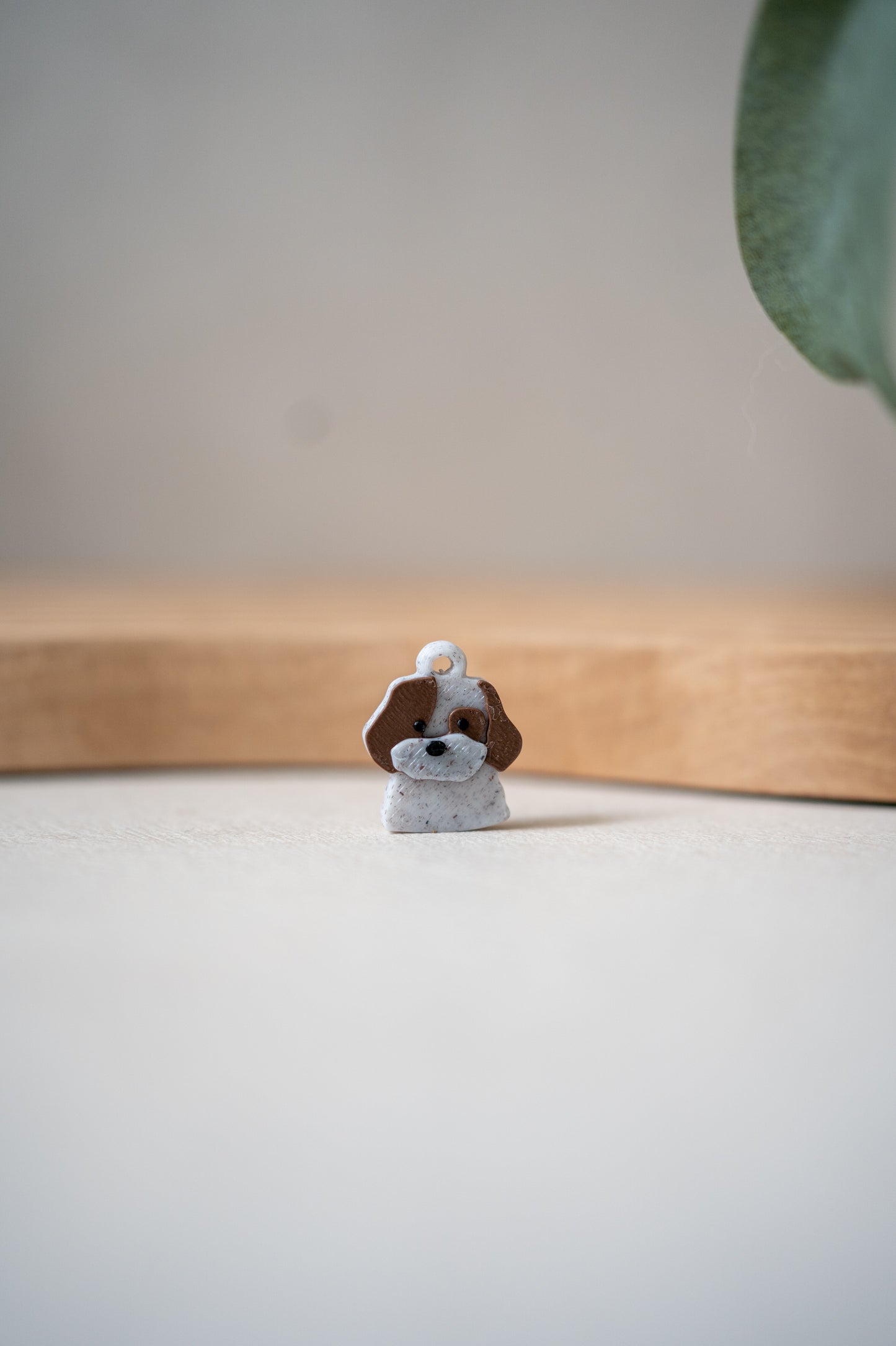 Prosopa | Poodle-Mix