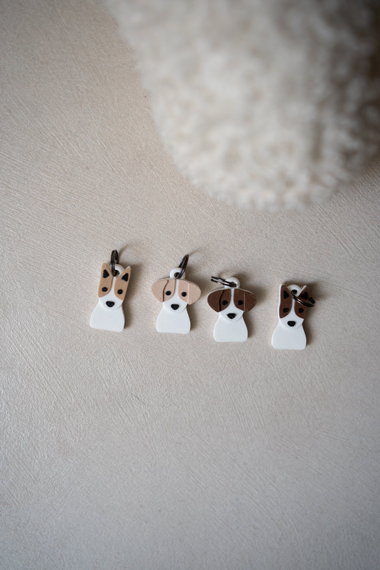 Prosopa | Jack Russell Terrier