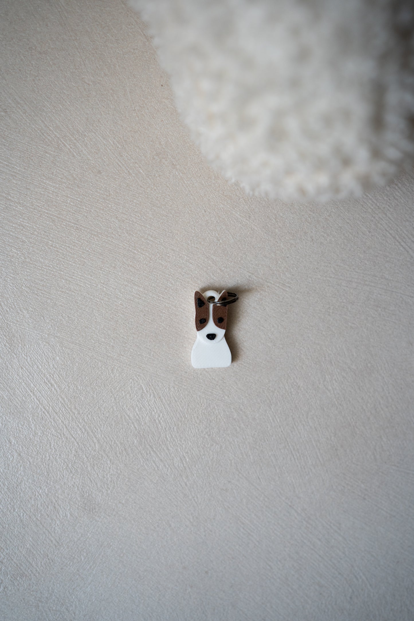 Prosopa | Jack Russell Terrier