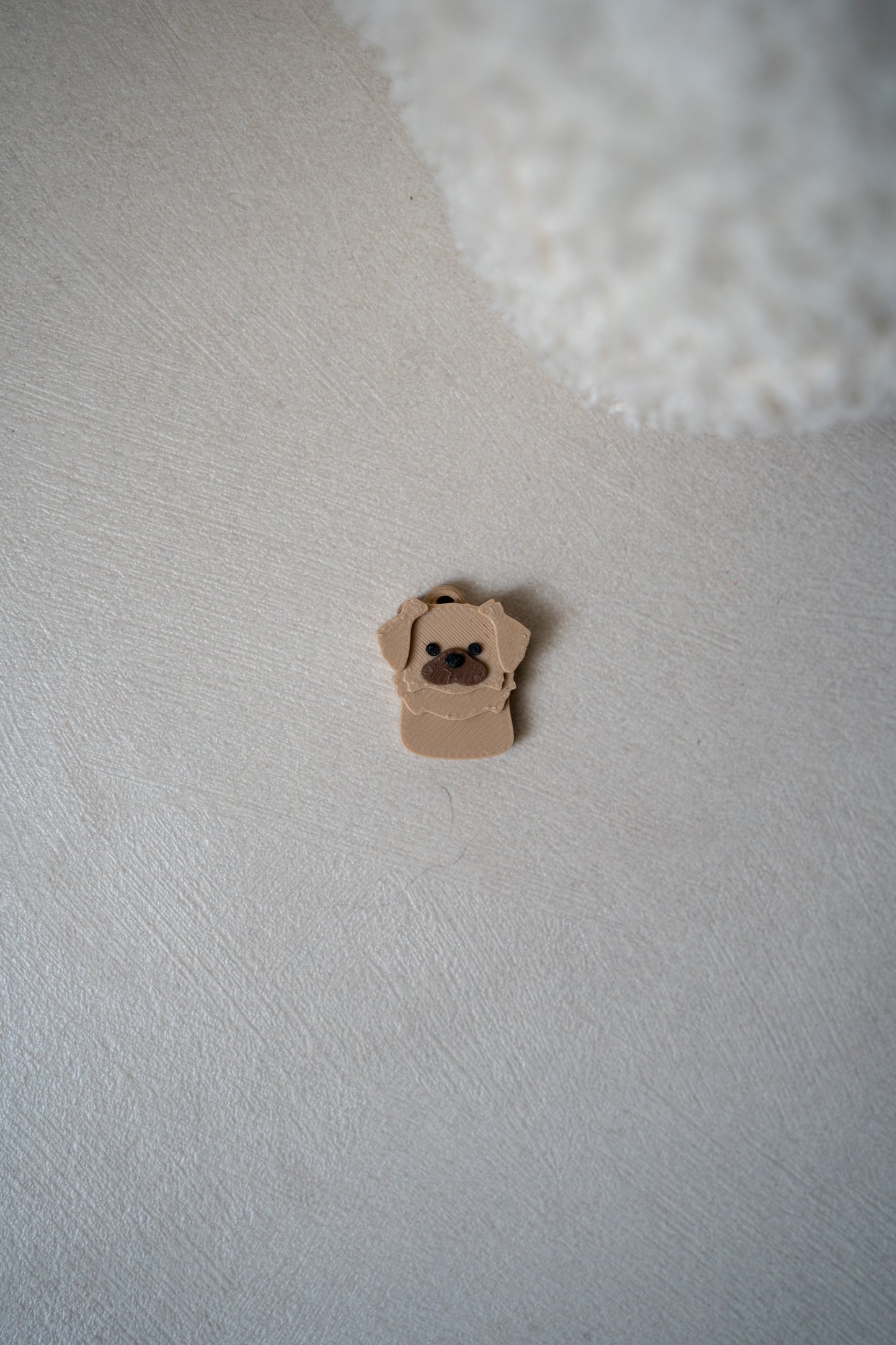 Prosopa | Tibetan Spaniel