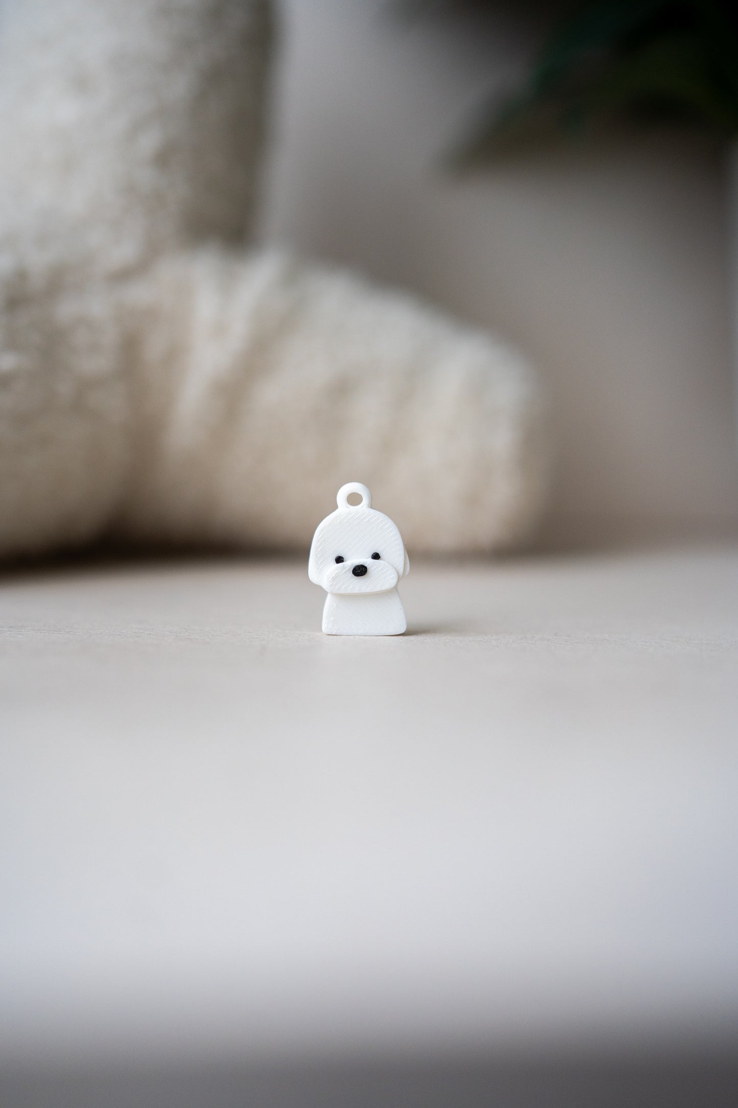 Prosopa | Coton de Tulear