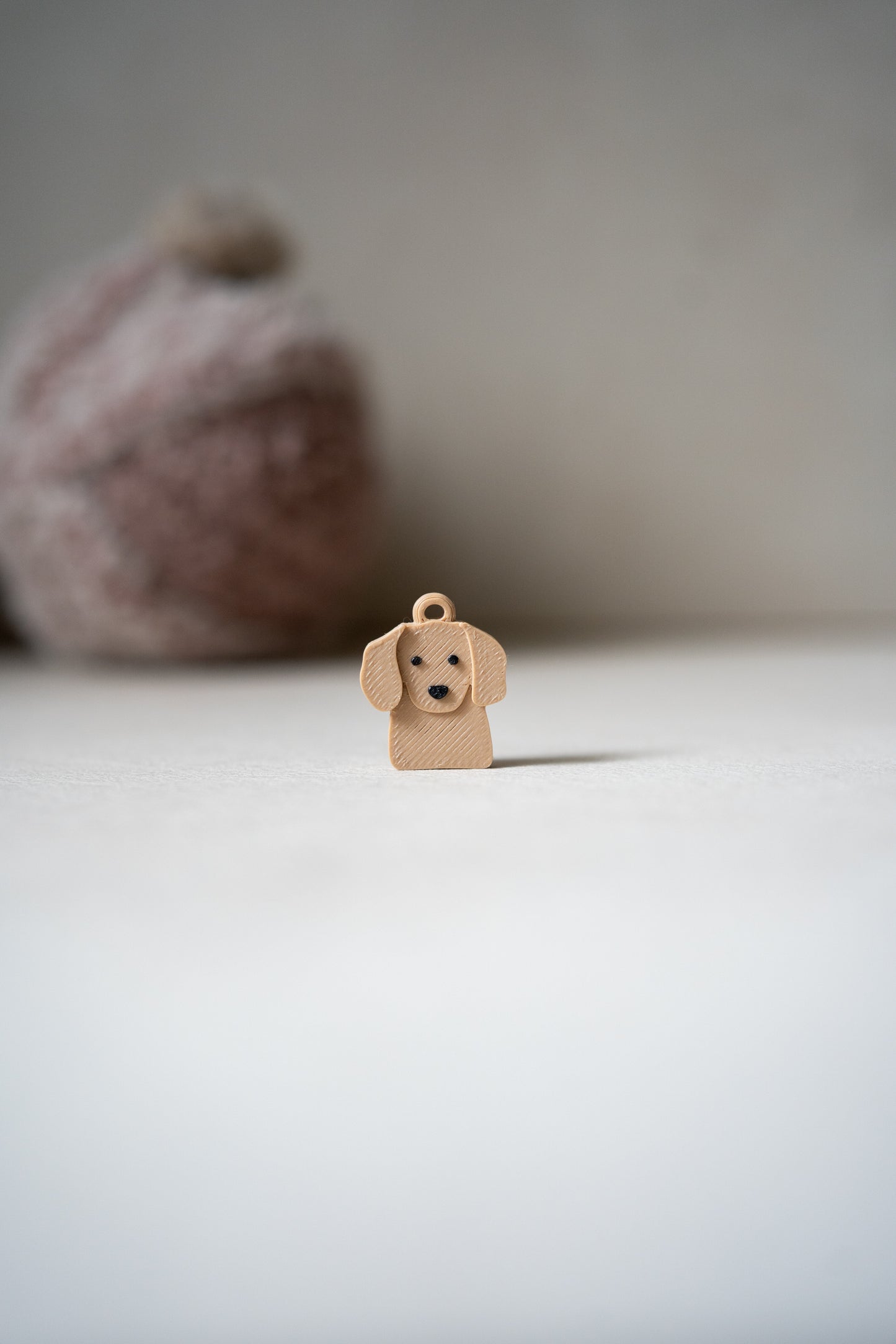 Prosopa | Dachshund