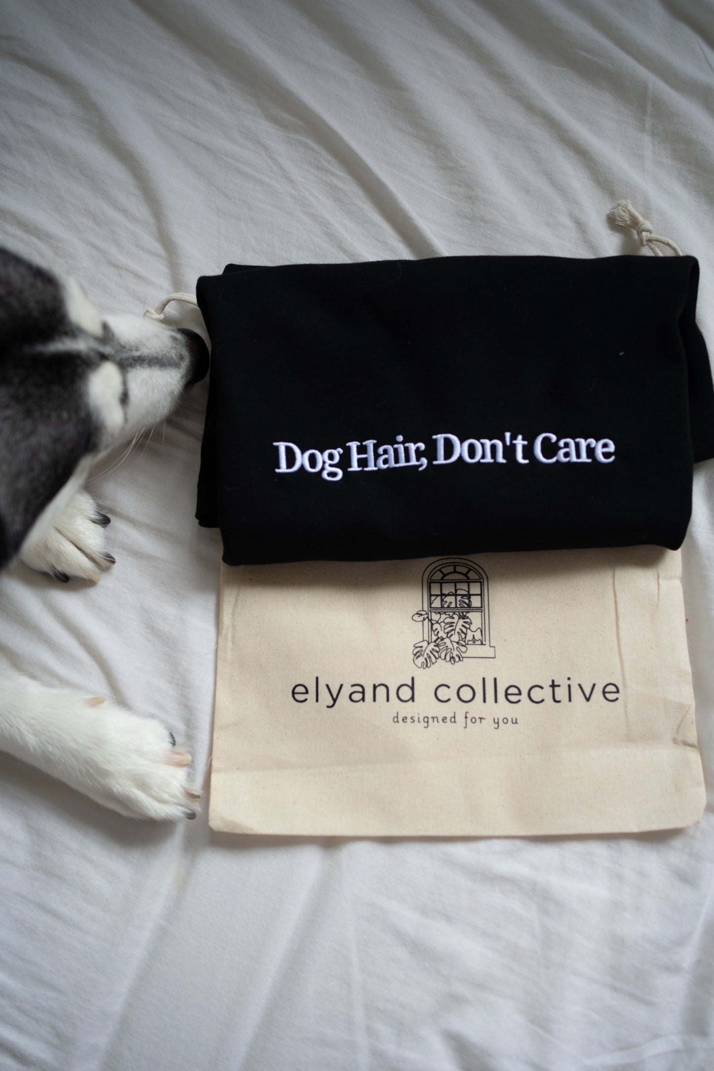 Prosopa | Dog Hair Dog Care