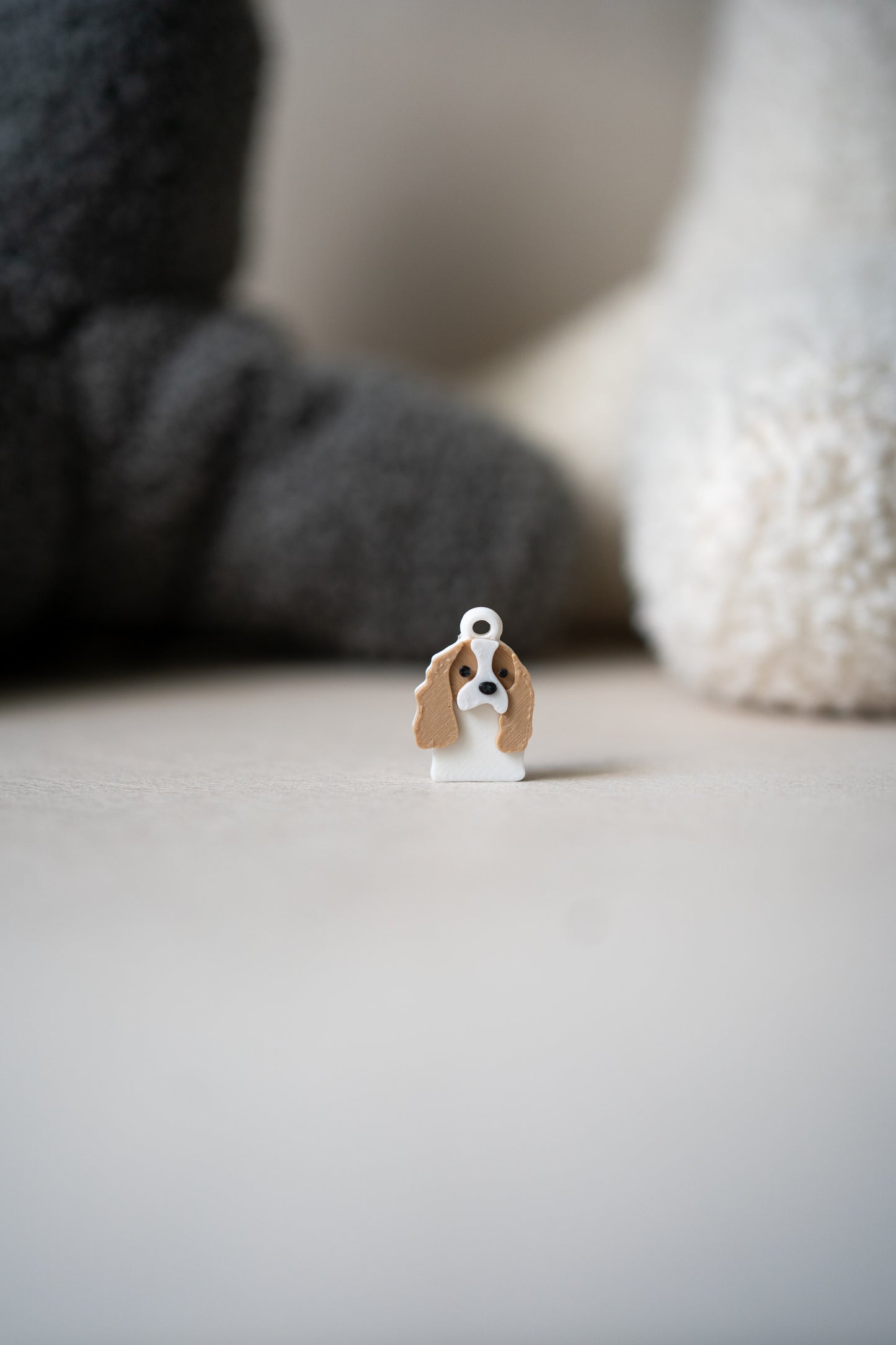 Prosopa | Raja Cavalier Charles Spaniel