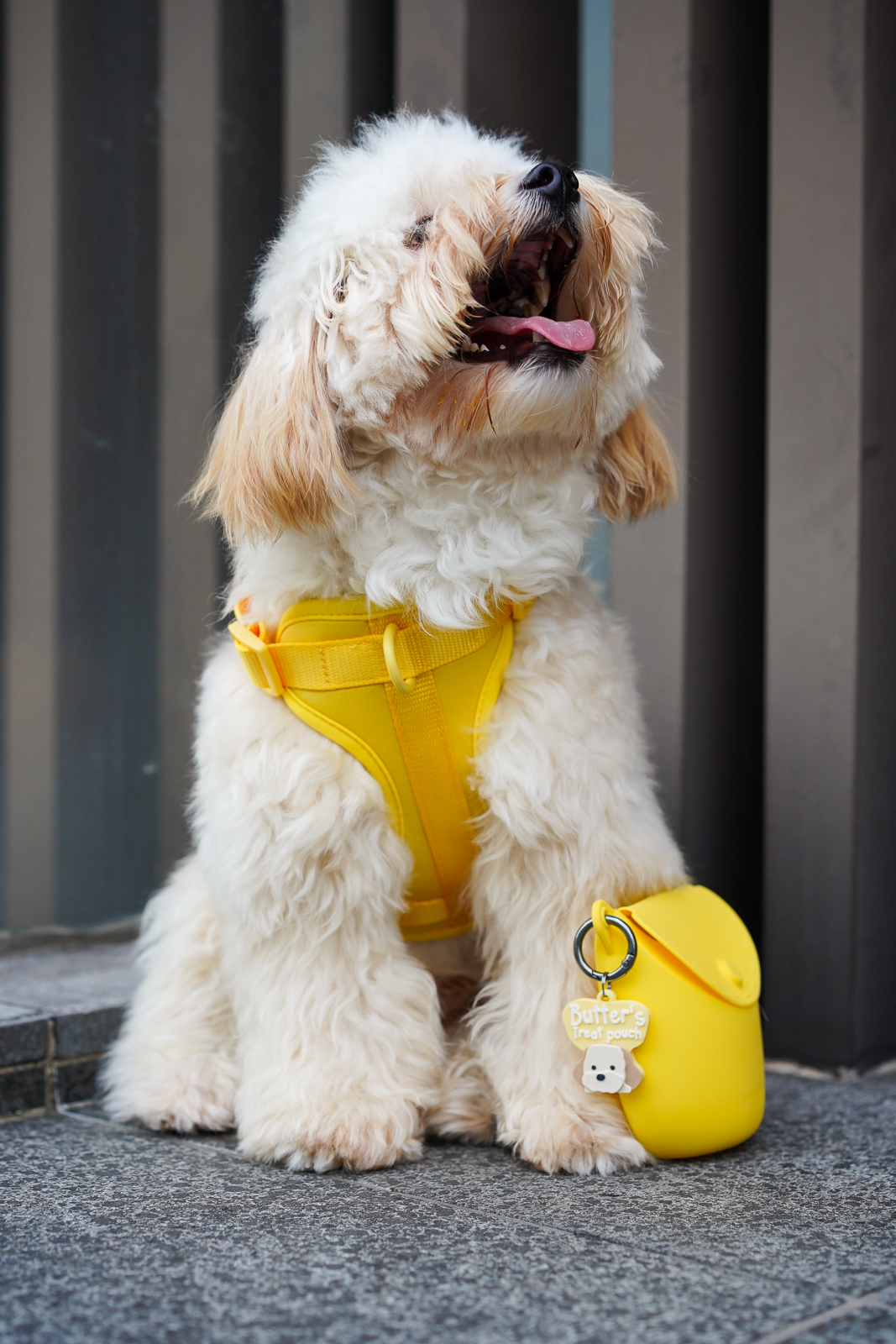 Treat Pouch X Prosopa | Name Tag