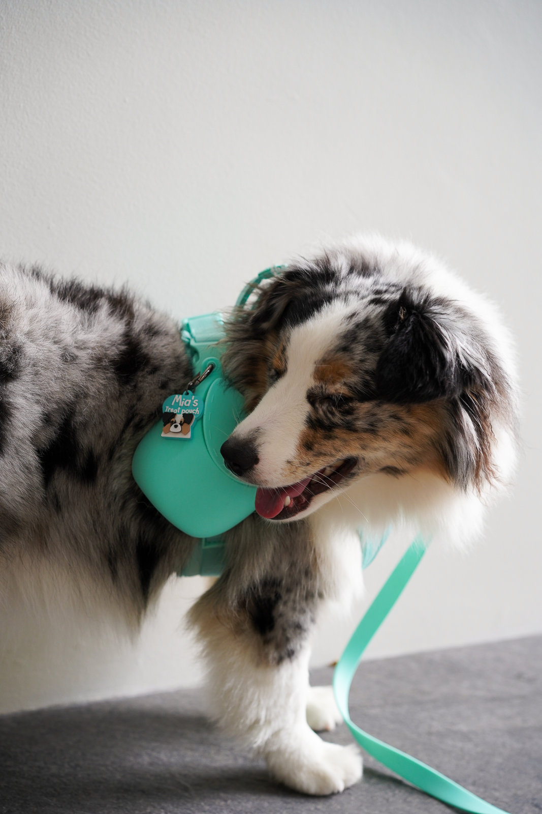 Treat Pouch X Prosopa | Name Tag