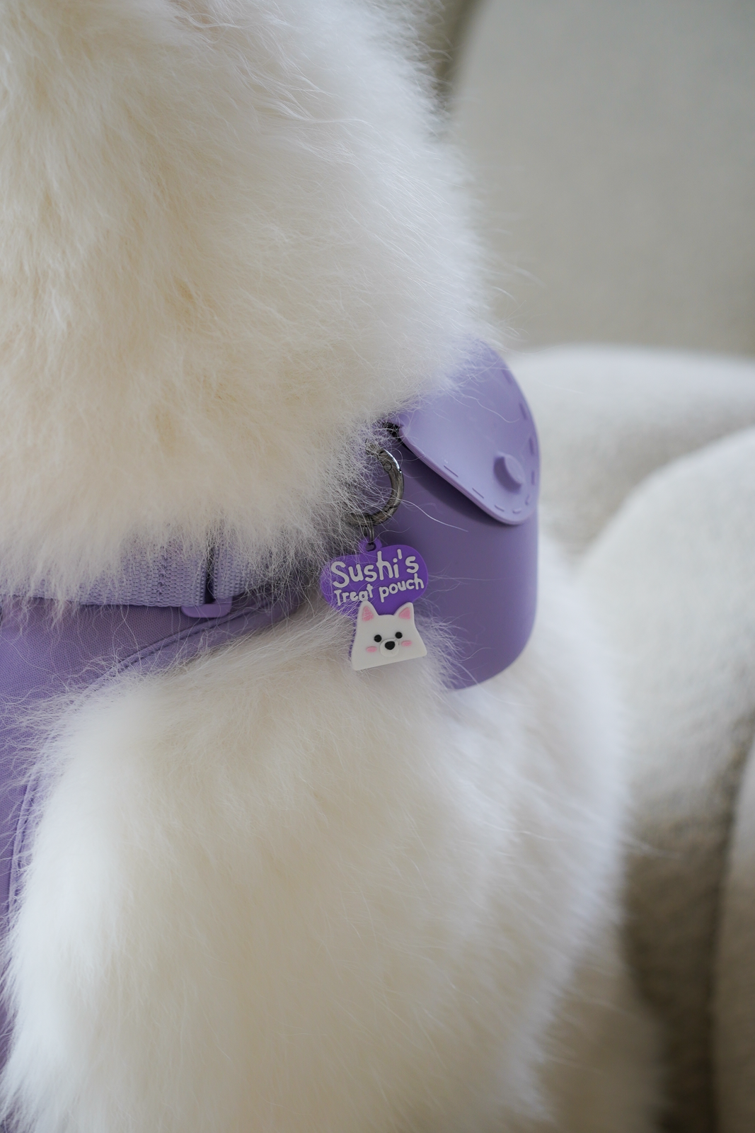 Treat Pouch X Prosopa | Name Tag