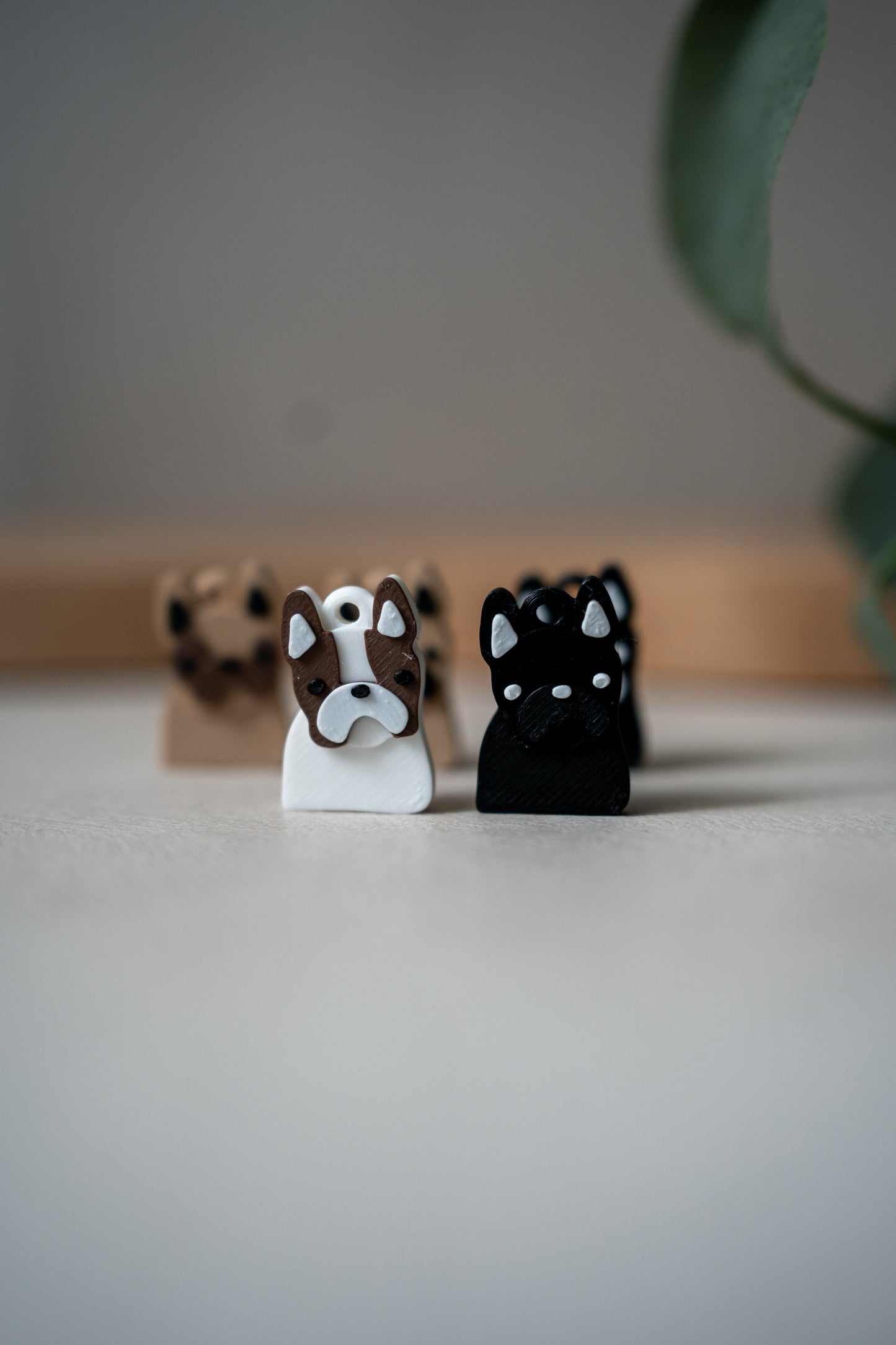 Prosopa | Bulldog Prancis (Frenchie)