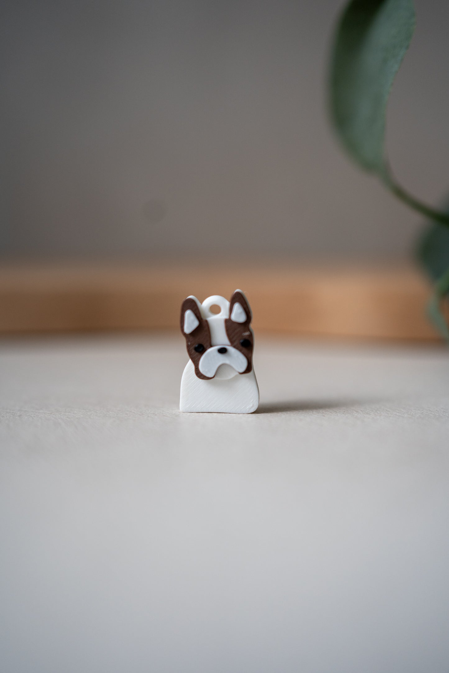 Prosopa | Bulldog Prancis (Frenchie)