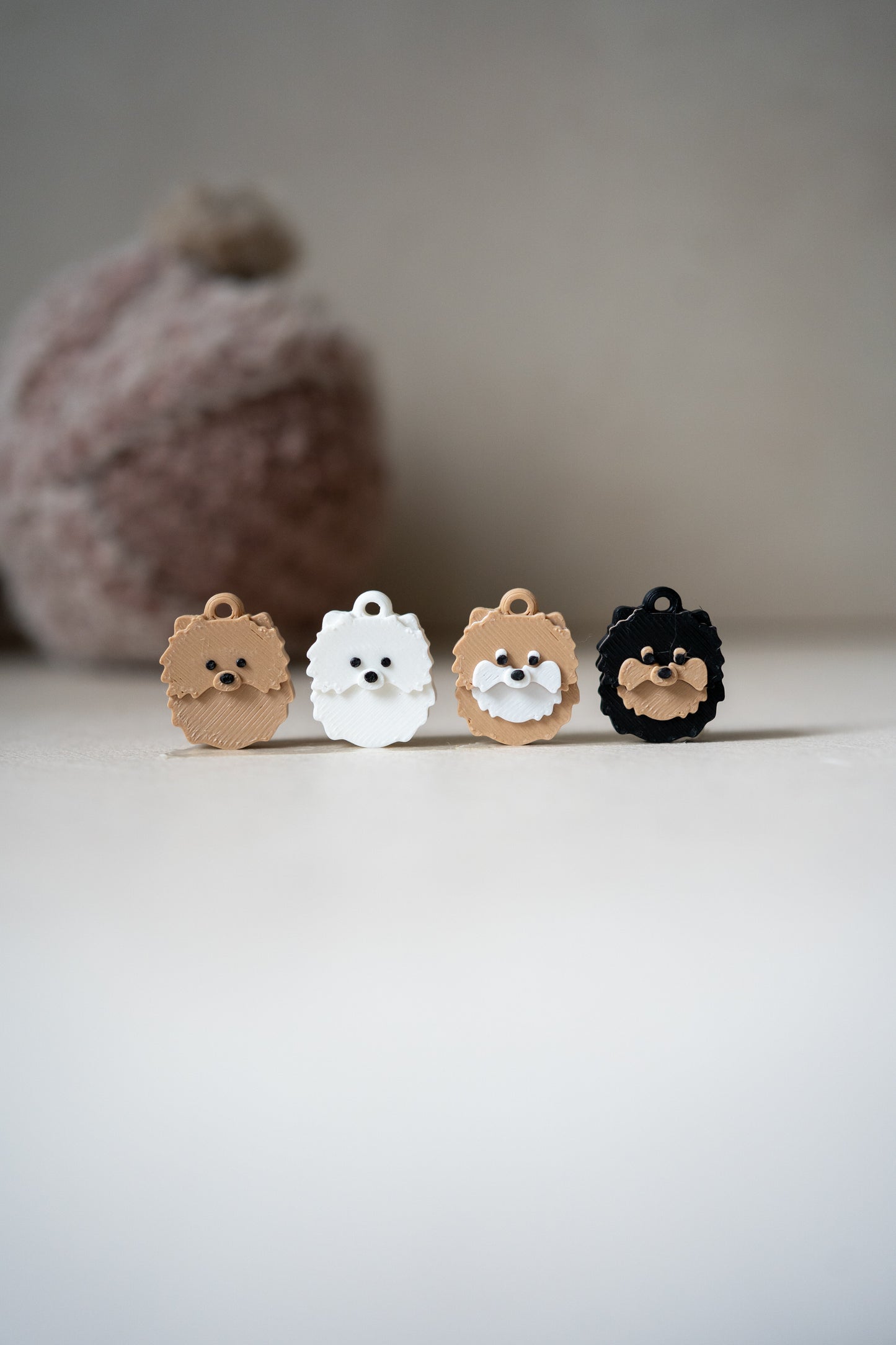 Prosopa | anjing Pomeranian