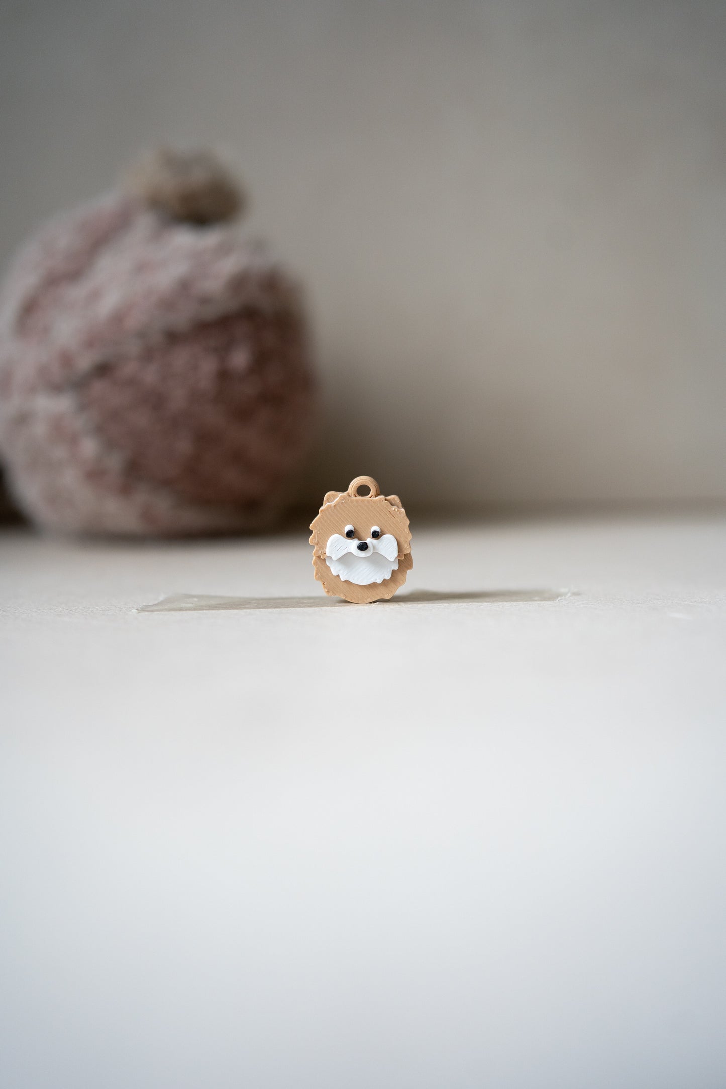 Prosopa | anjing Pomeranian