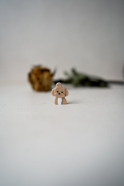 Prosopa | Pudel
